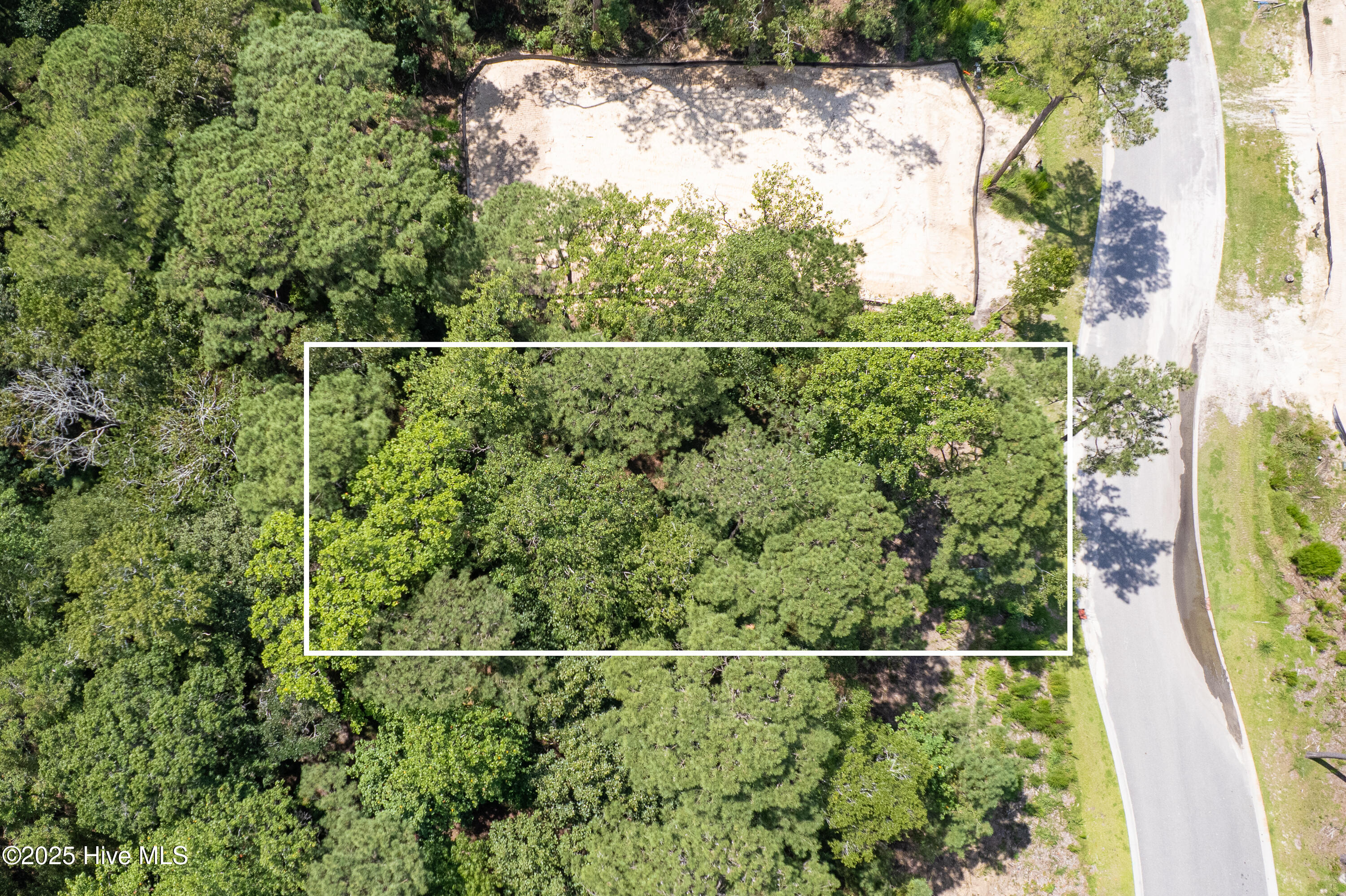 100525584 | Photo 16