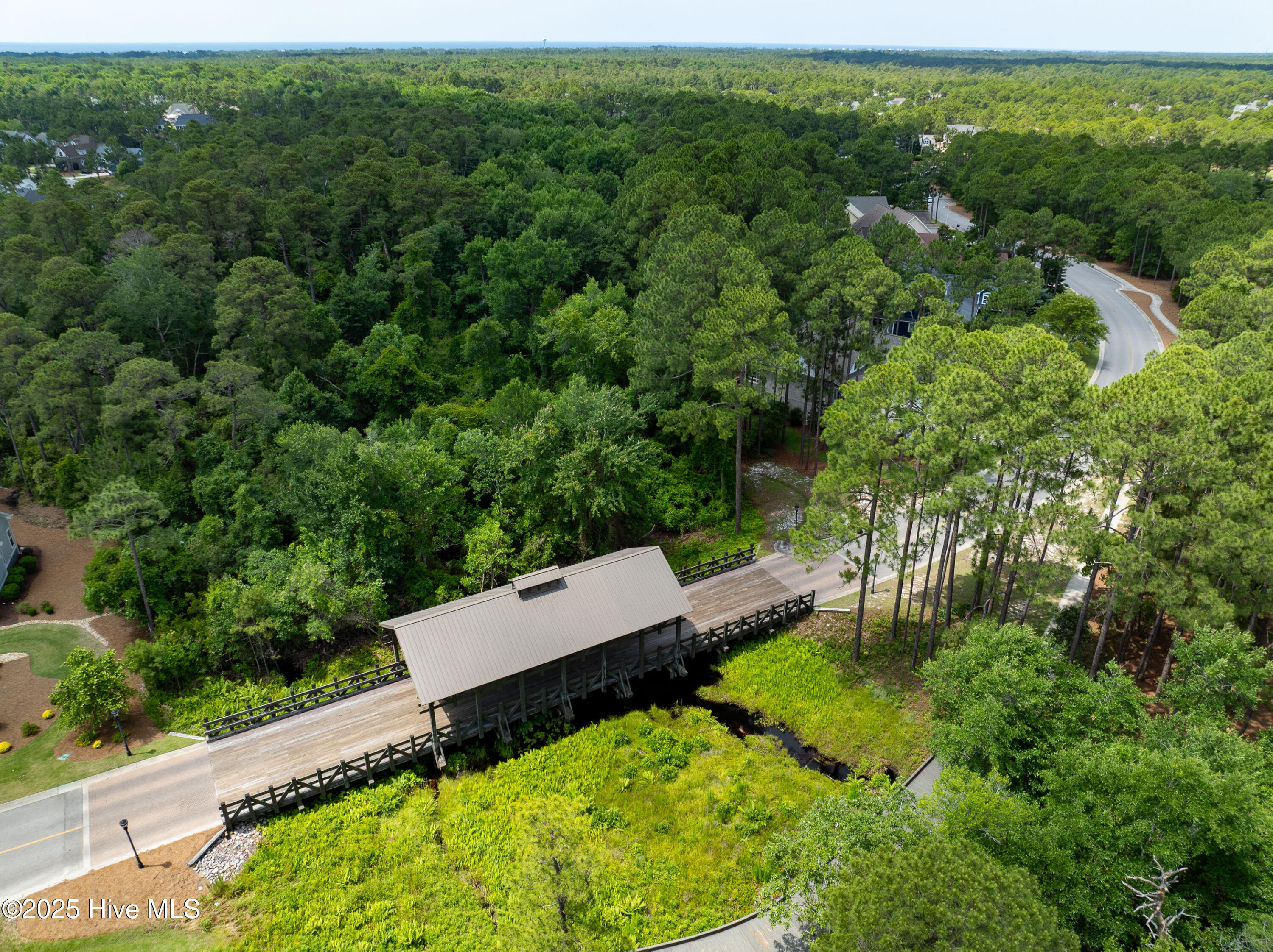 100541746 | Photo 90