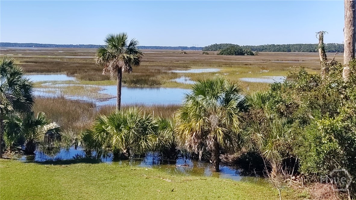 374 Coffee Bluff Villa Road, Savannah, GA 31419 Listing Photo  37