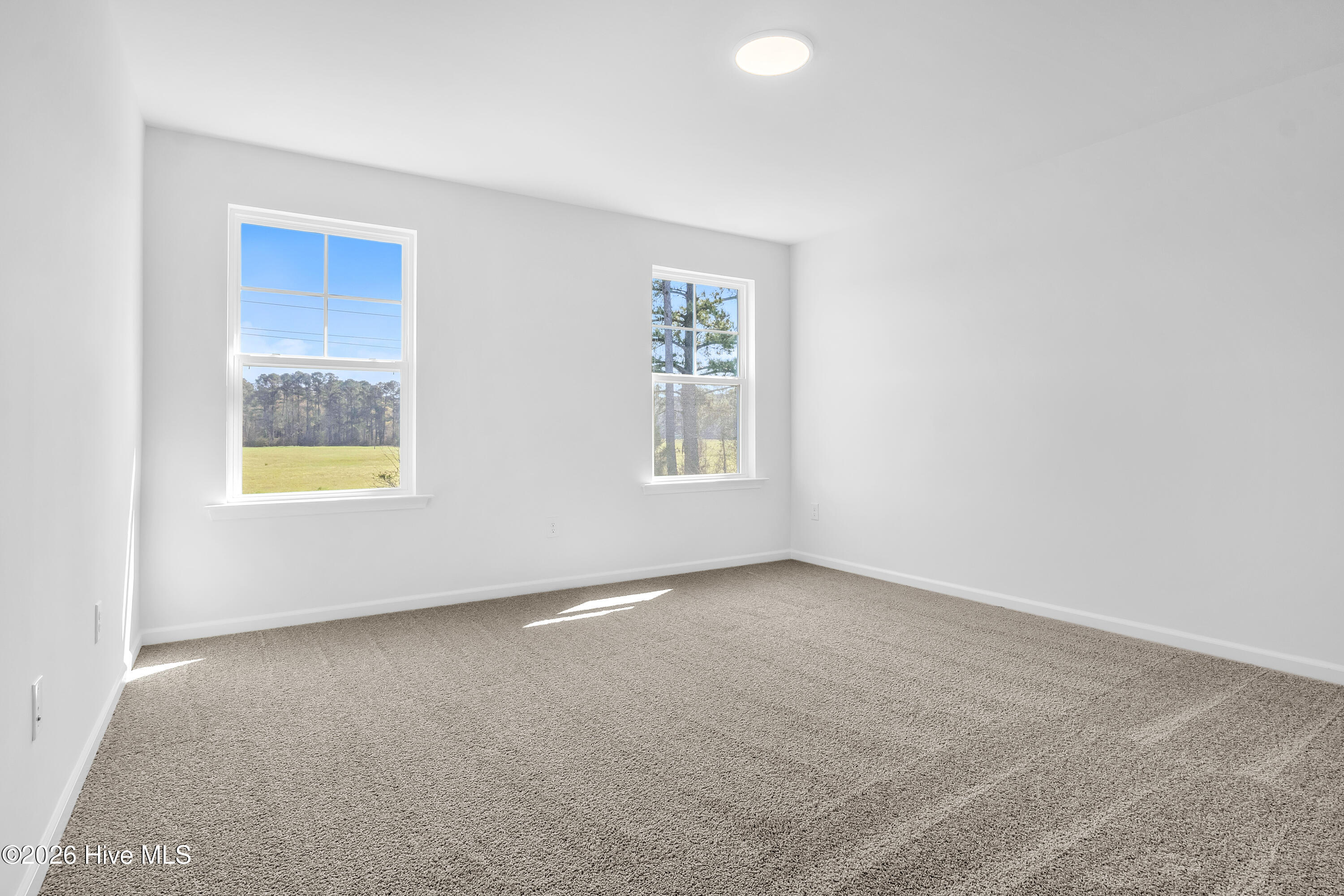 100563590 | Photo 42