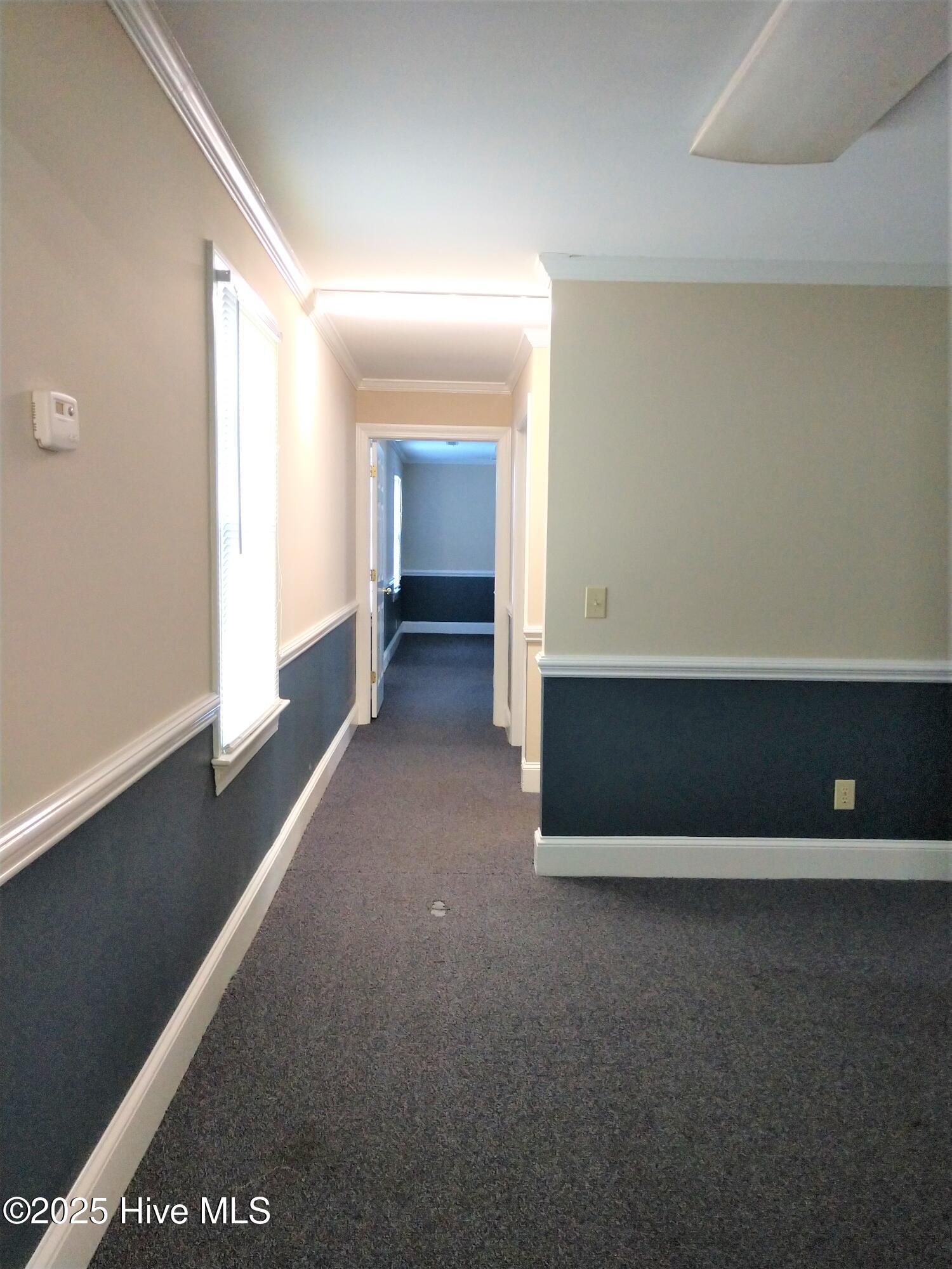 823 Evans Street UNIT D, Greenville, NC, 27834