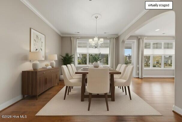 100518693 | Photo 24