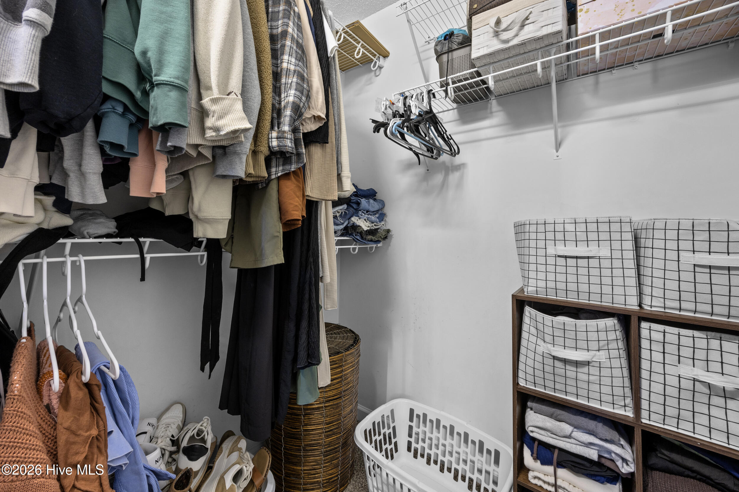 100554193 | Photo 19