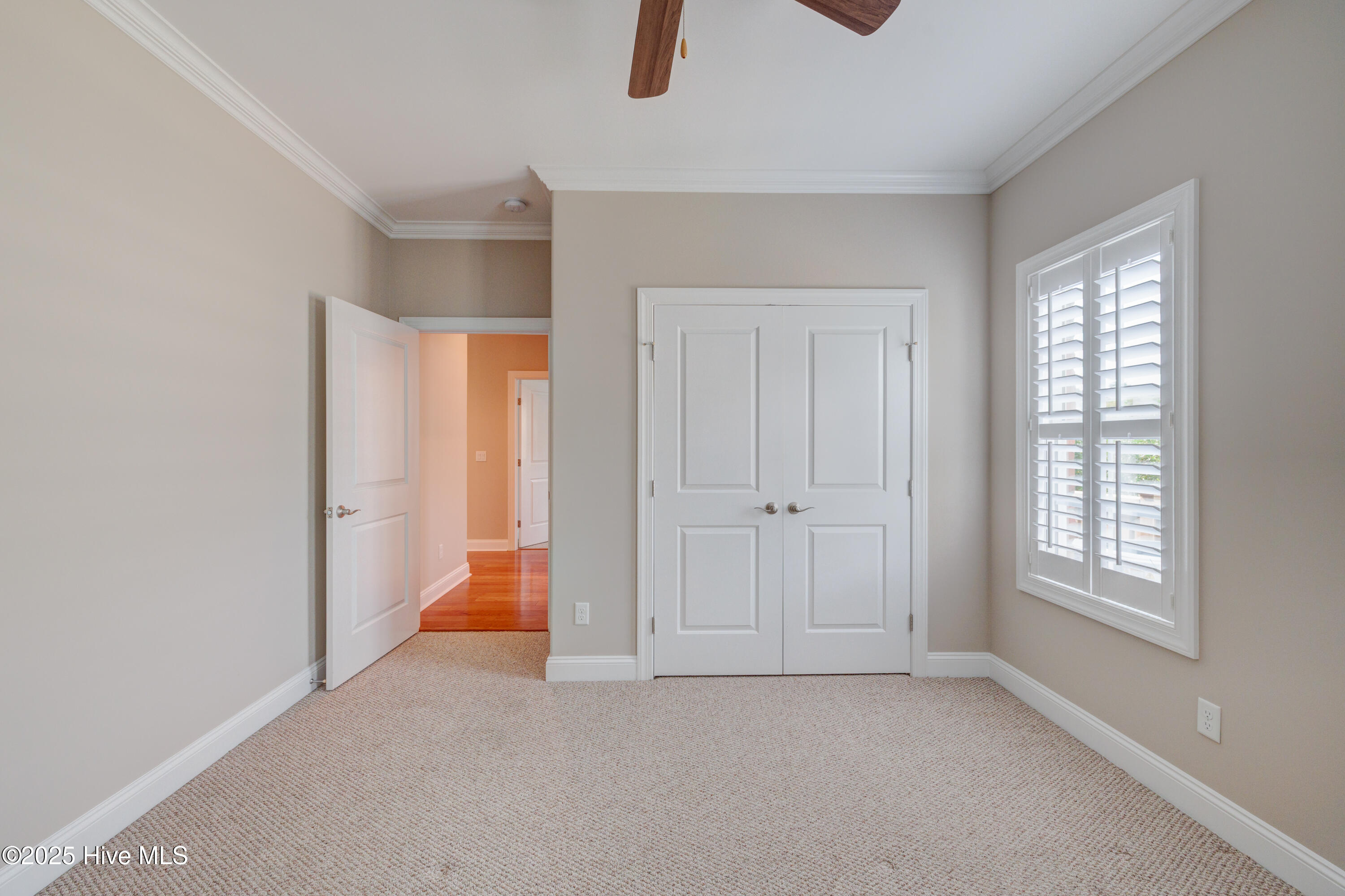 100527898 | Photo 46