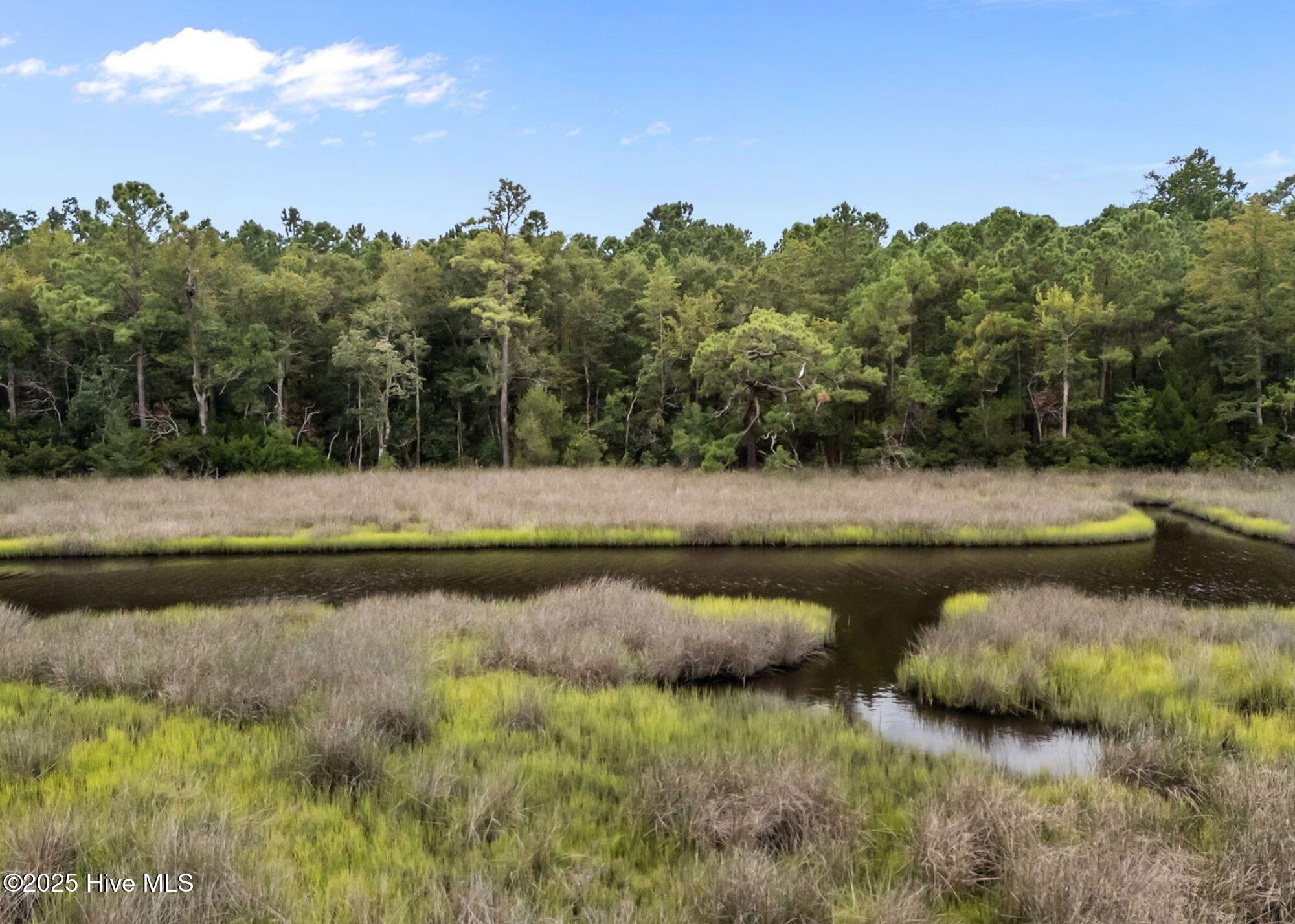 100524817 | Photo 12