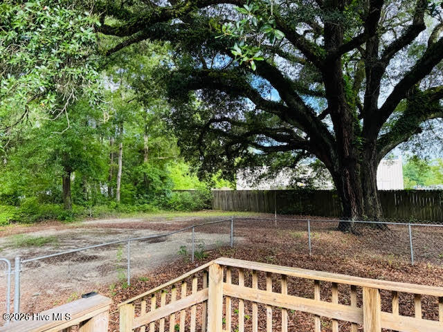 100547185 | Photo 32