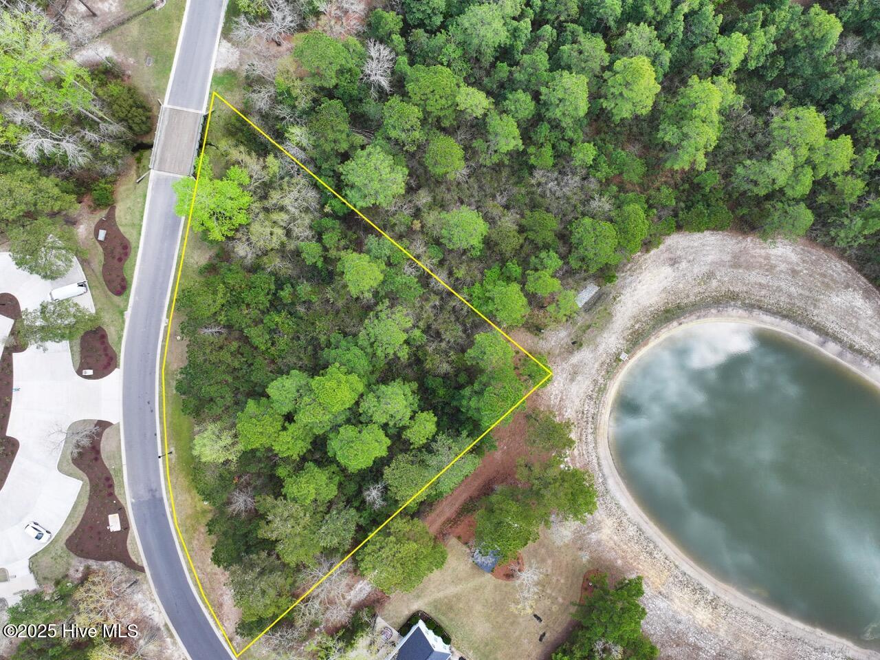 100501196 | Photo 11