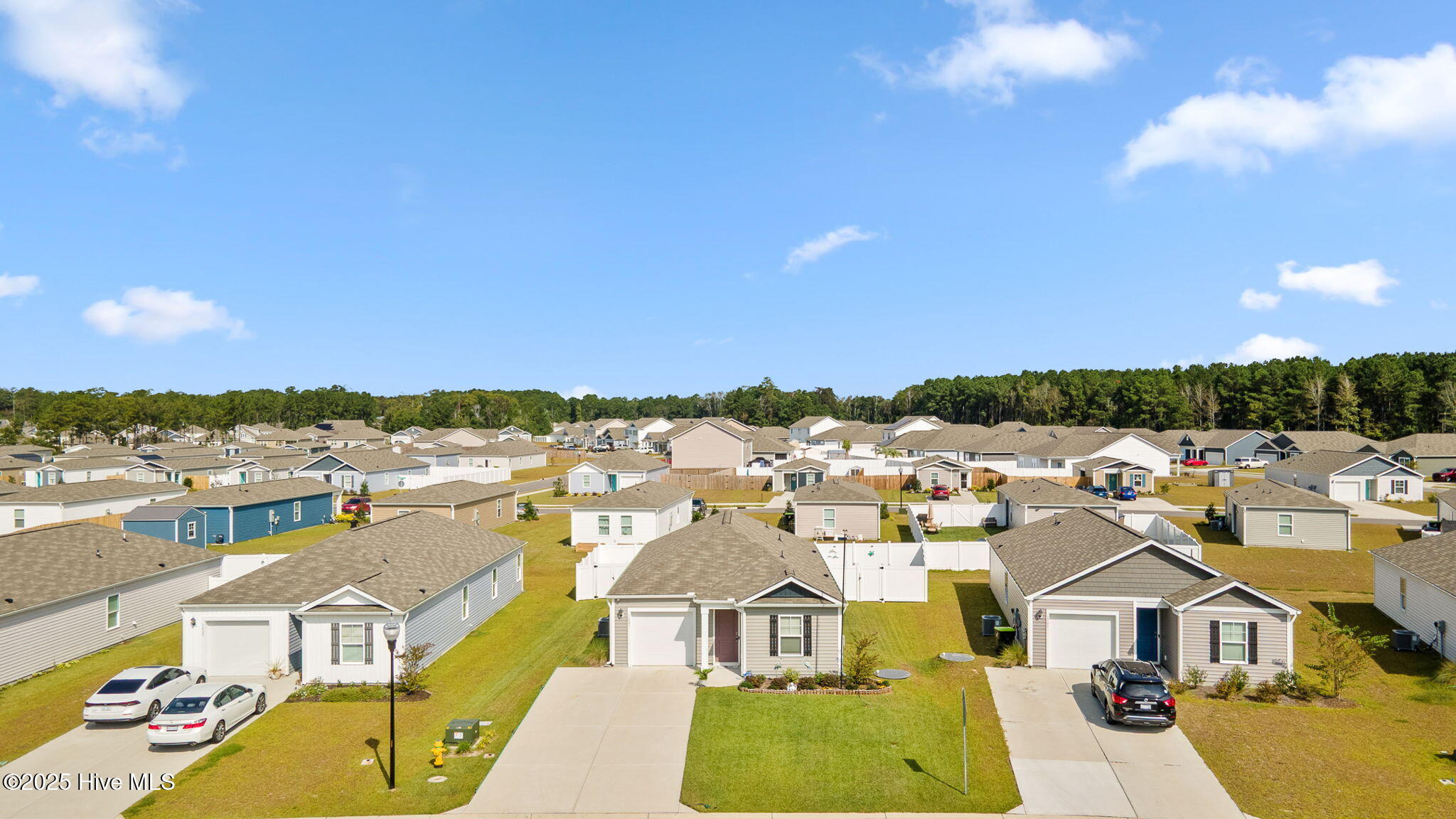 100531495 | Photo 32