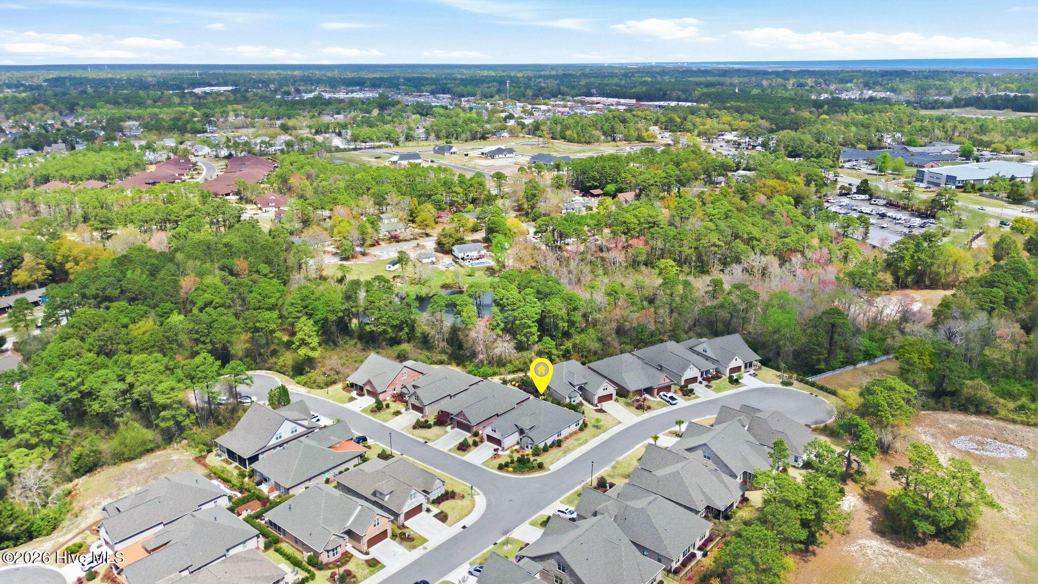 100564564 | Photo 58