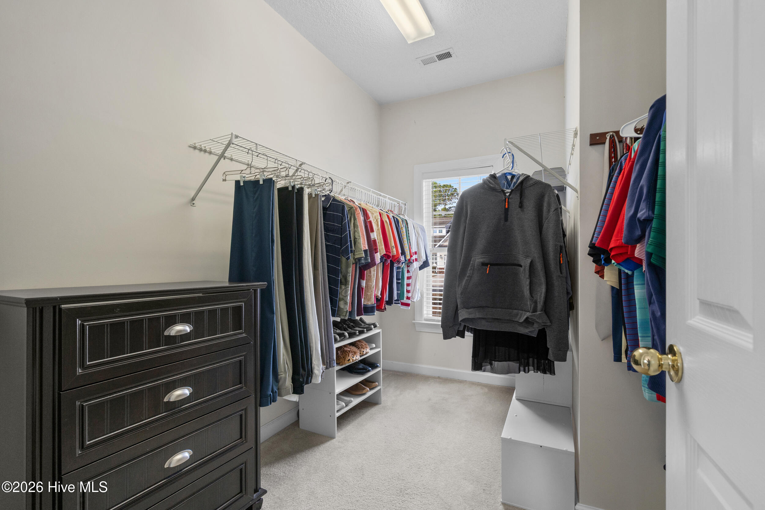 100558962 | Photo 21