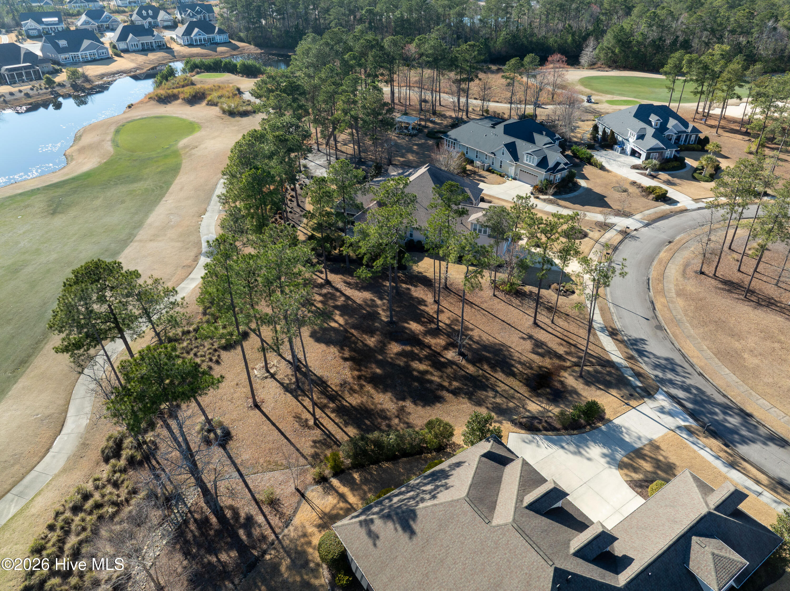 100557146 | Photo 27