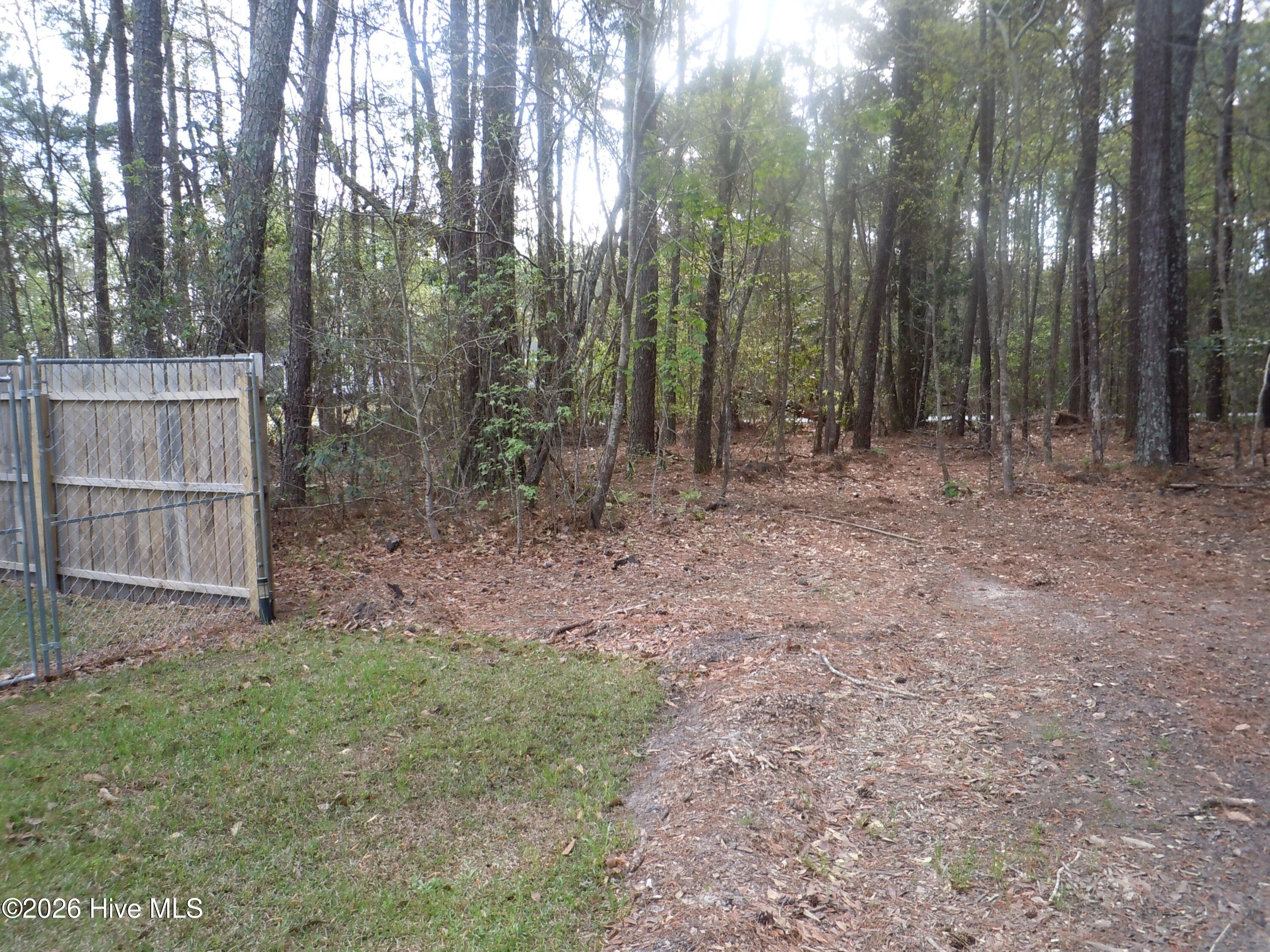 100565129 | Photo 104