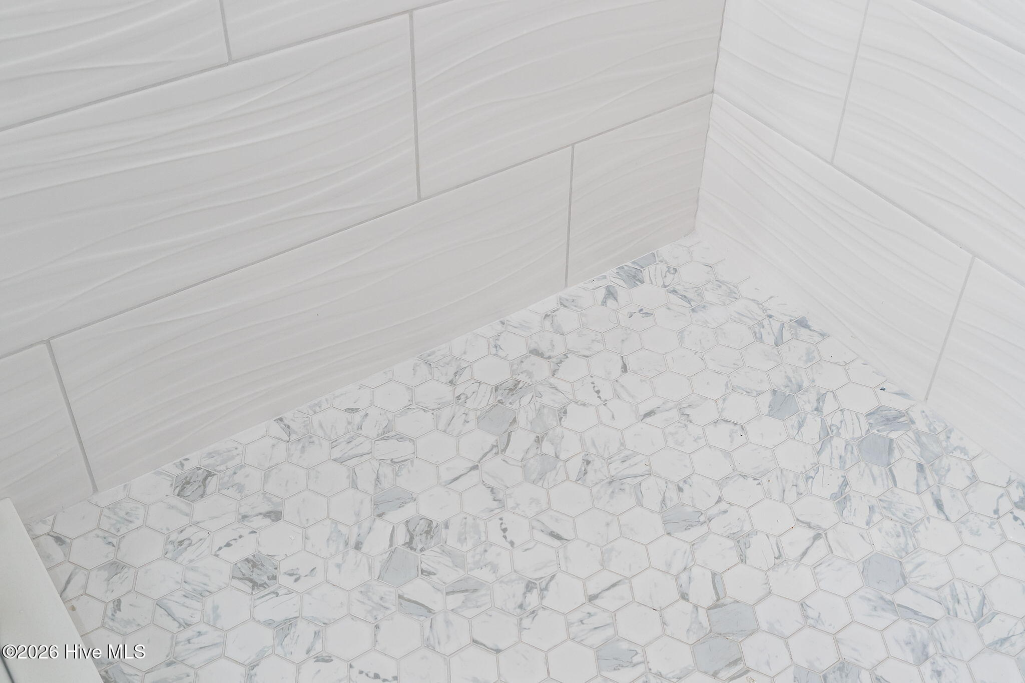 100558259 | Photo 21