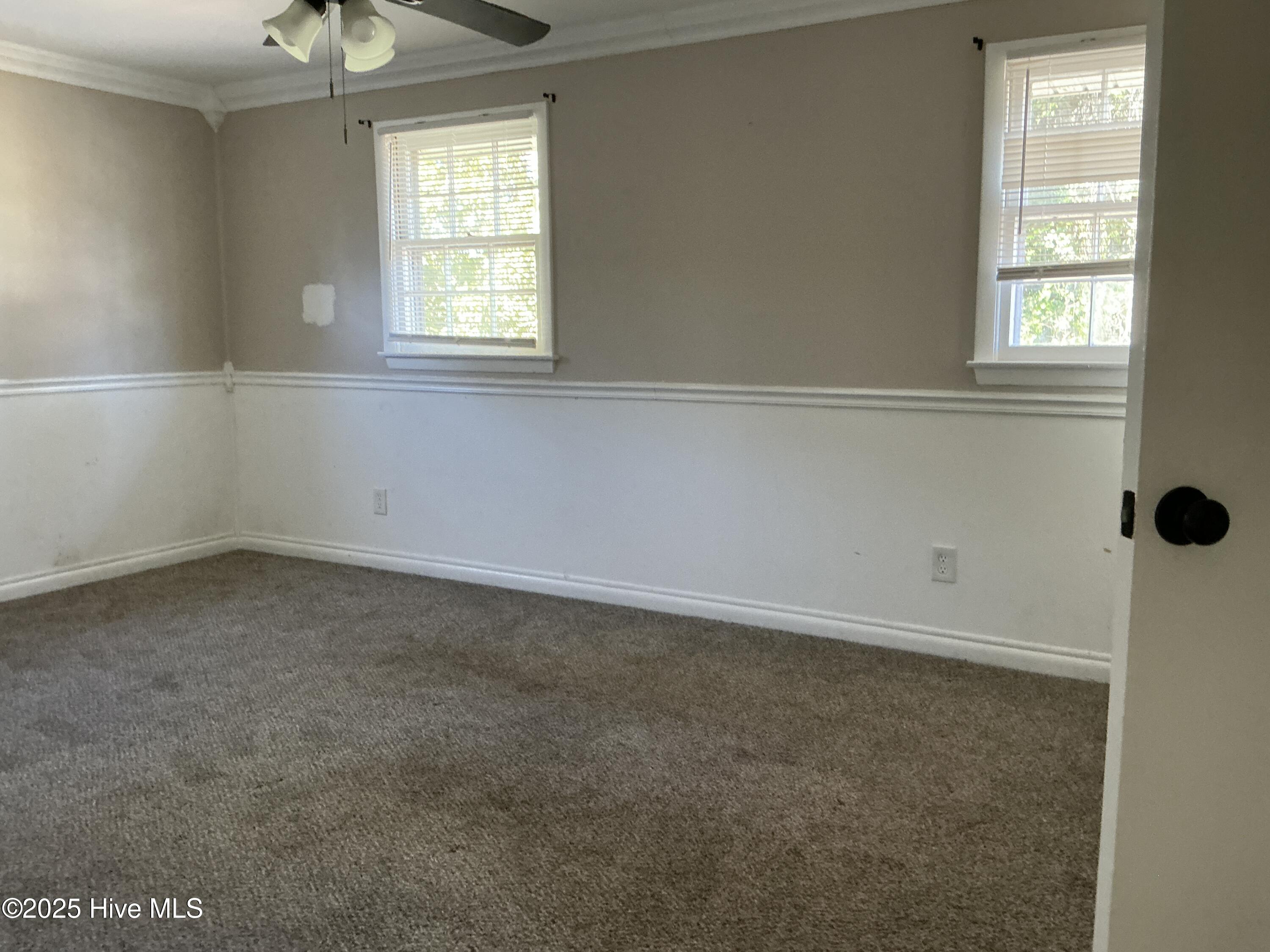 100558727 | Photo 15