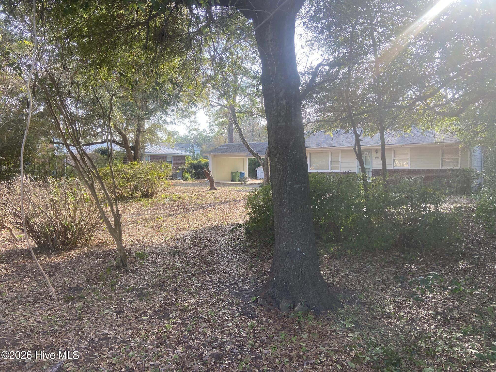 100548407 | Photo 39