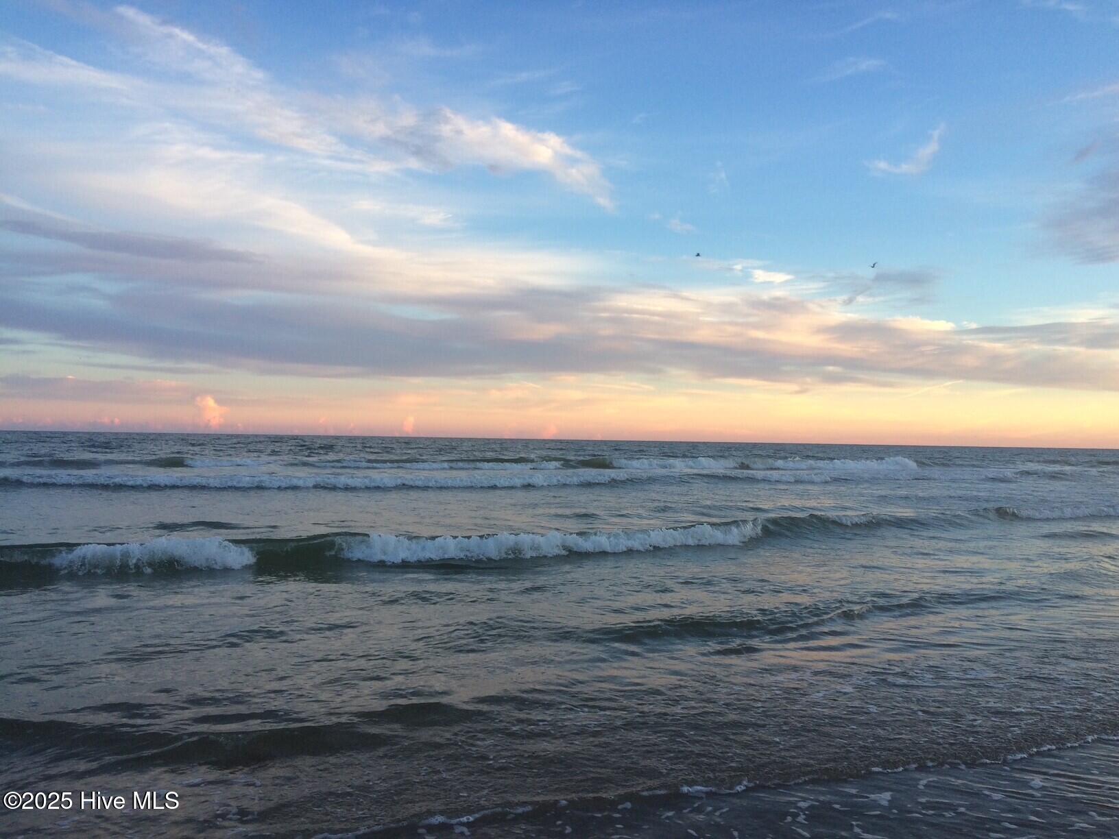 100521876 | Photo 21