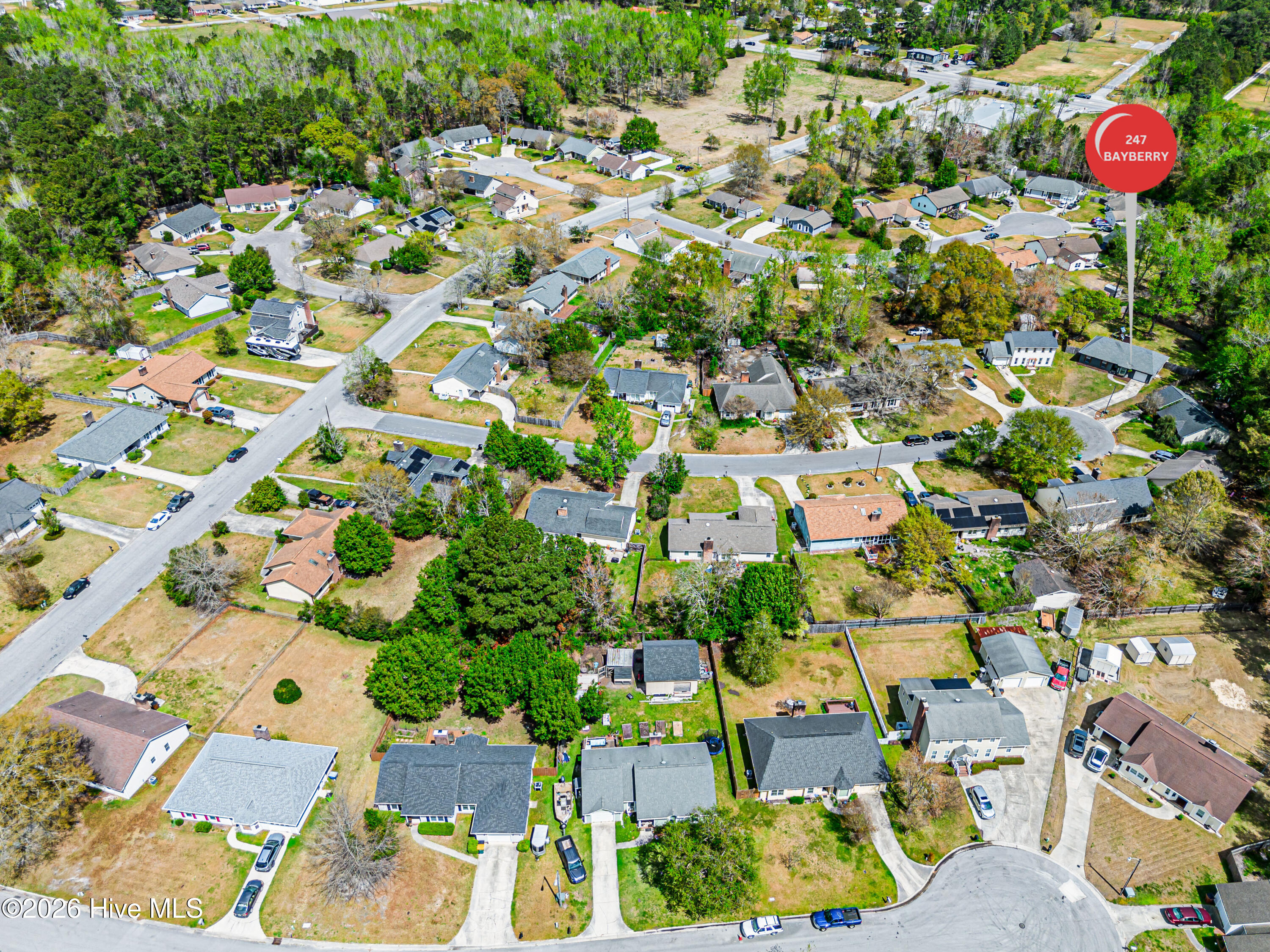 100569074 | Photo 71