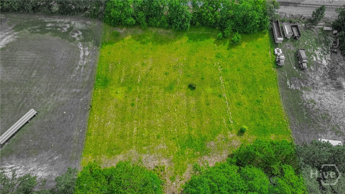 Homes for sale in Springfield, GA | 0 Springfield Egypt Rd, Springfield, GA 31329 | MLS# SA343058