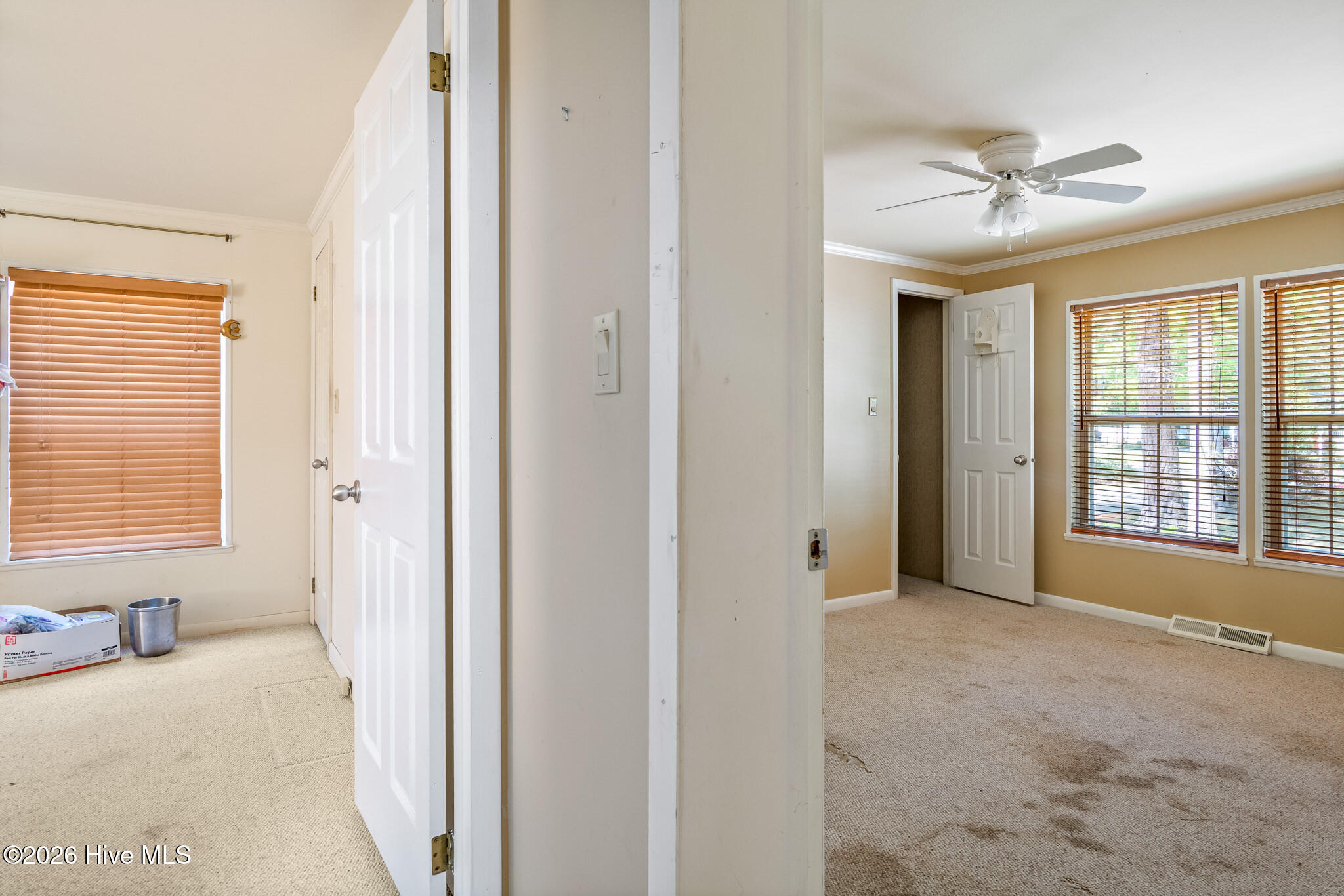 100567029 | Photo 22