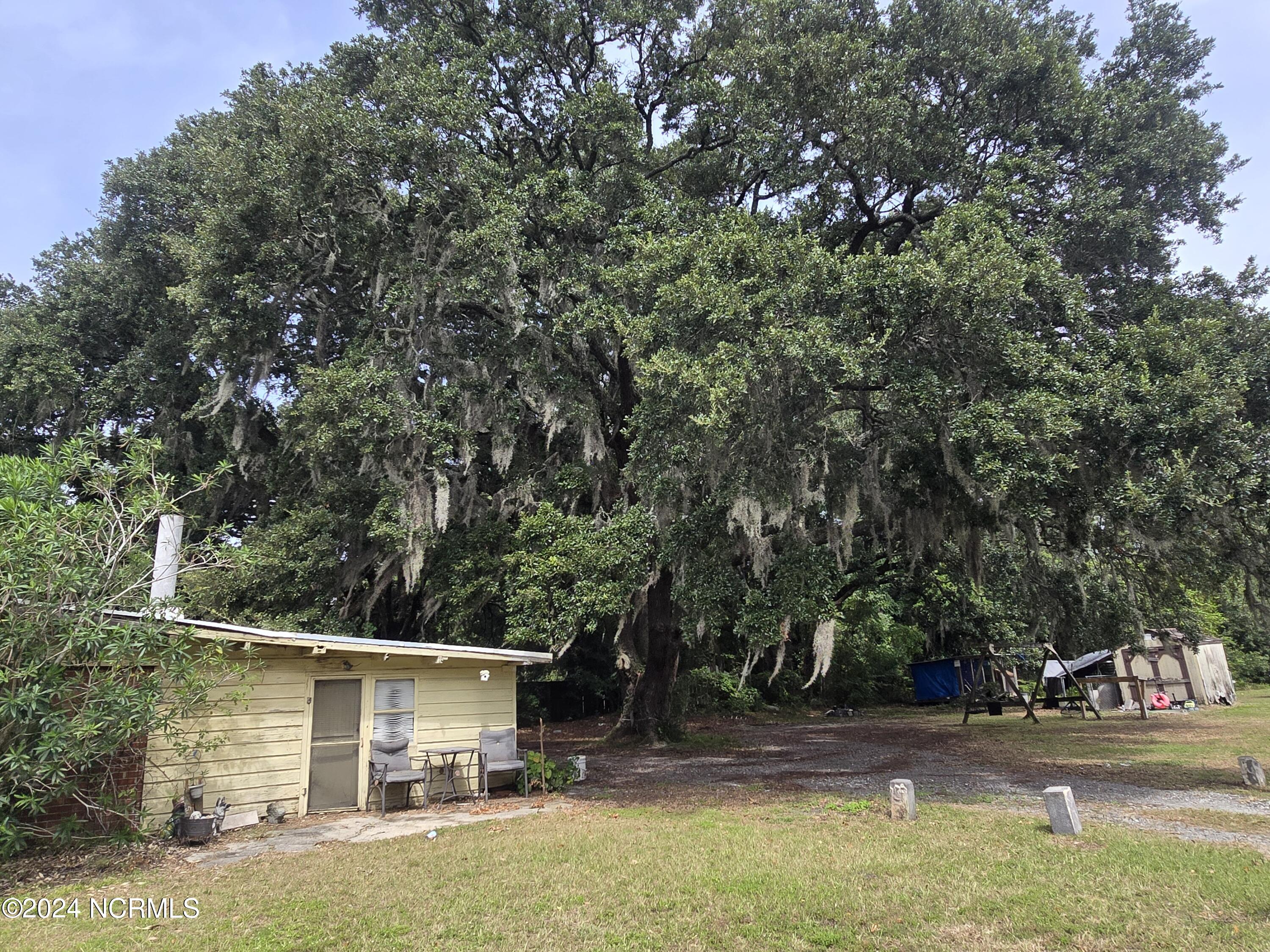 100466461 | Photo 10