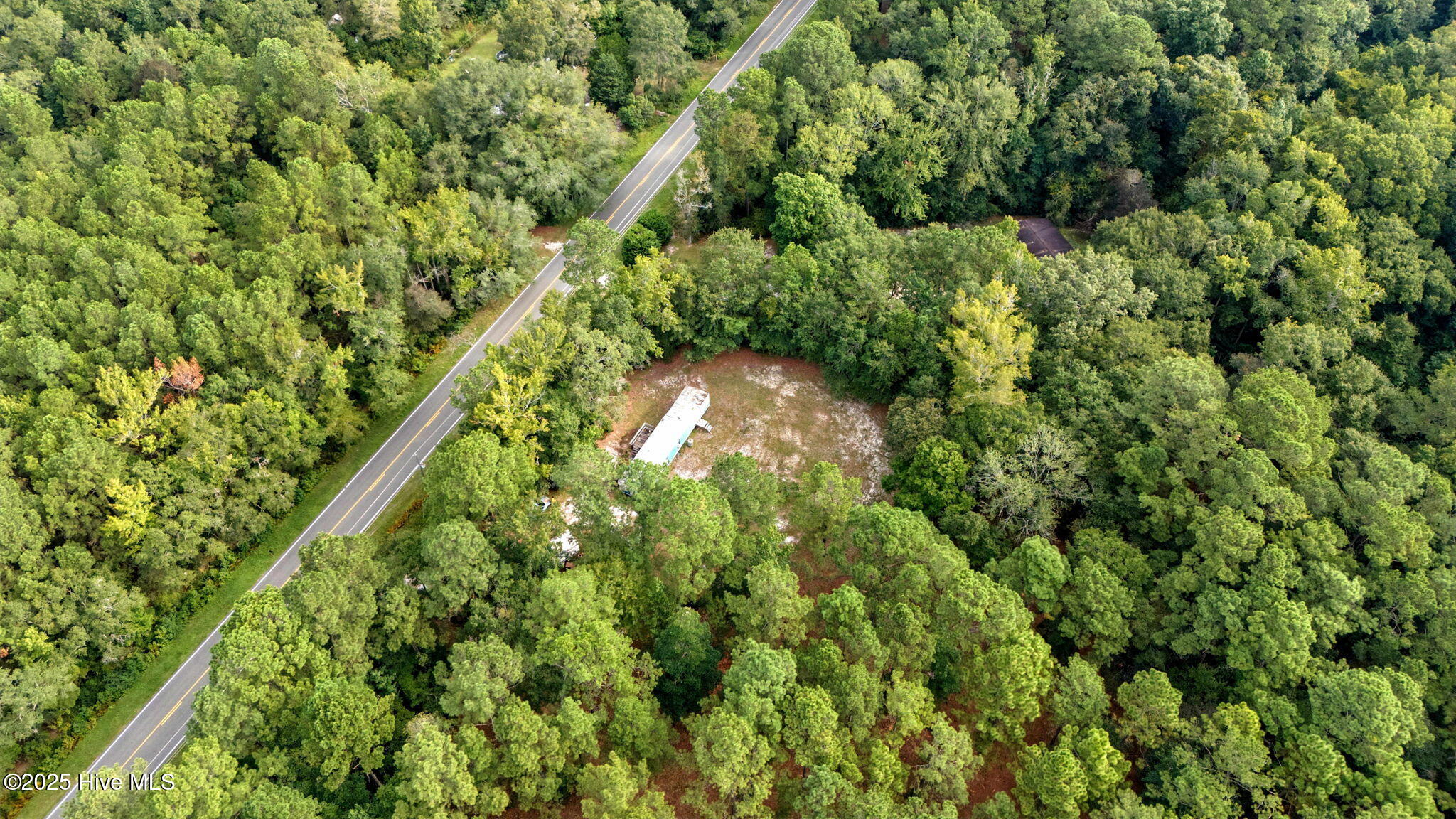 100526805 | Photo 11