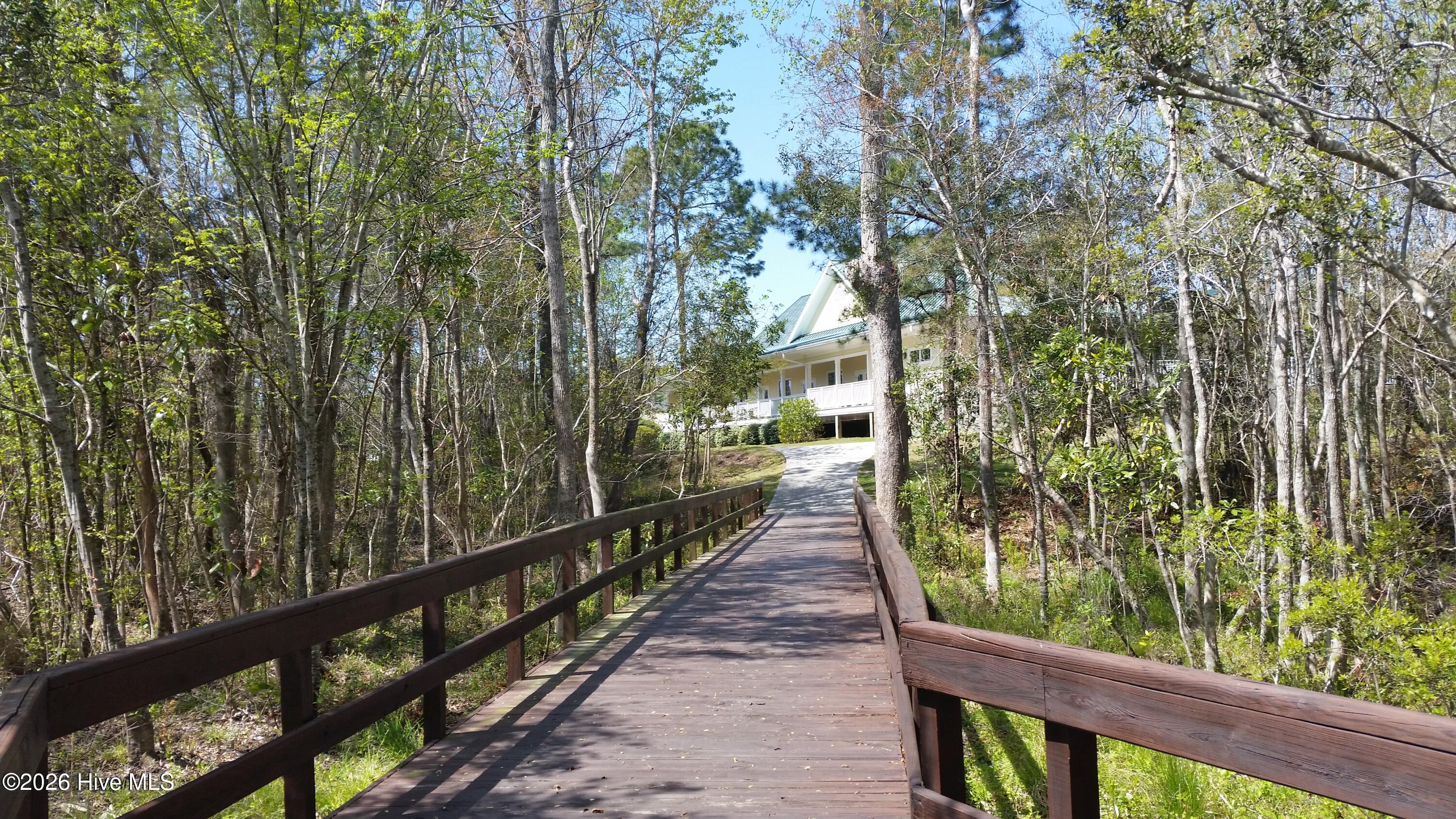 100555834 | Photo 123