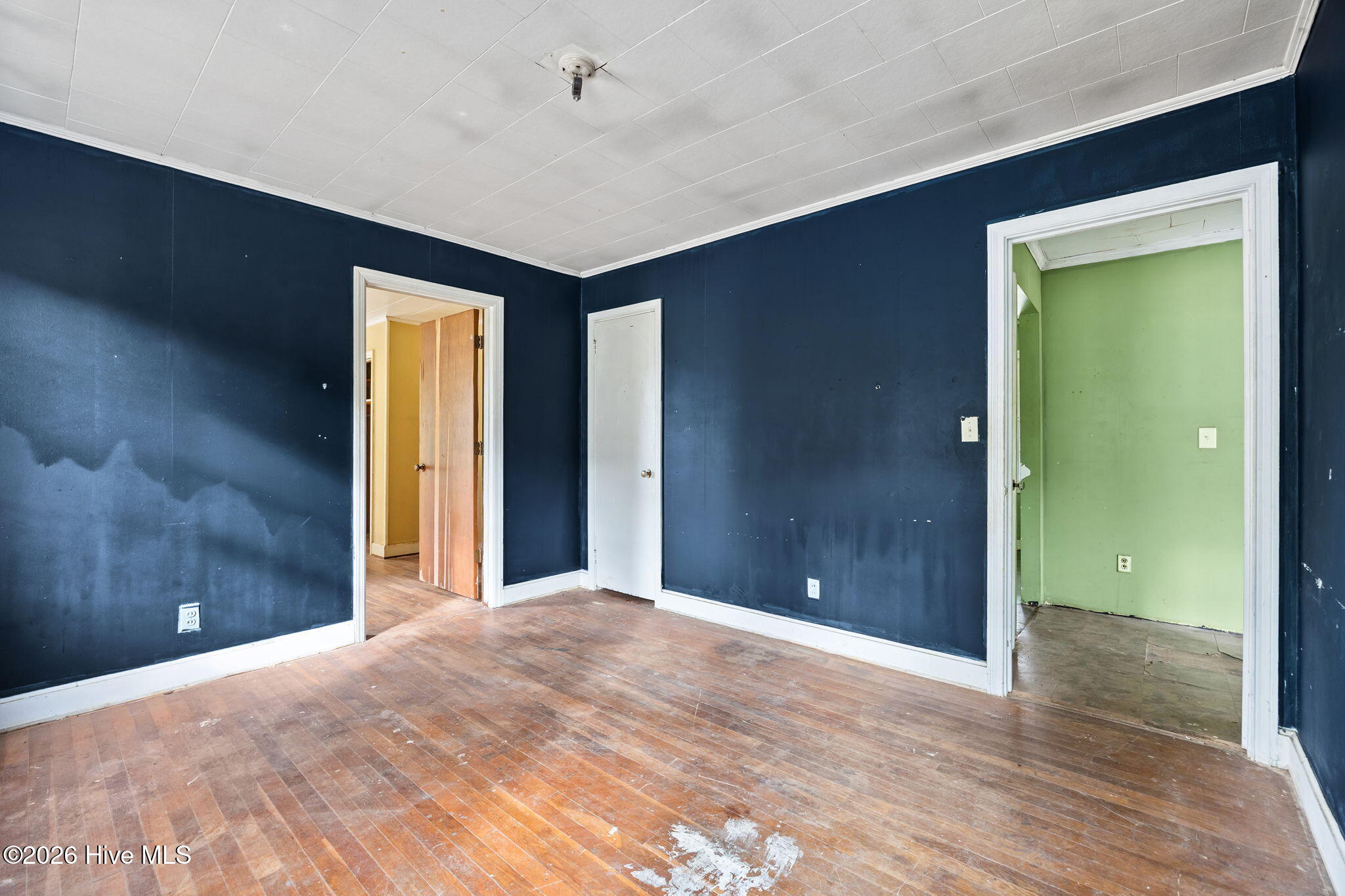 100565134 | Photo 24