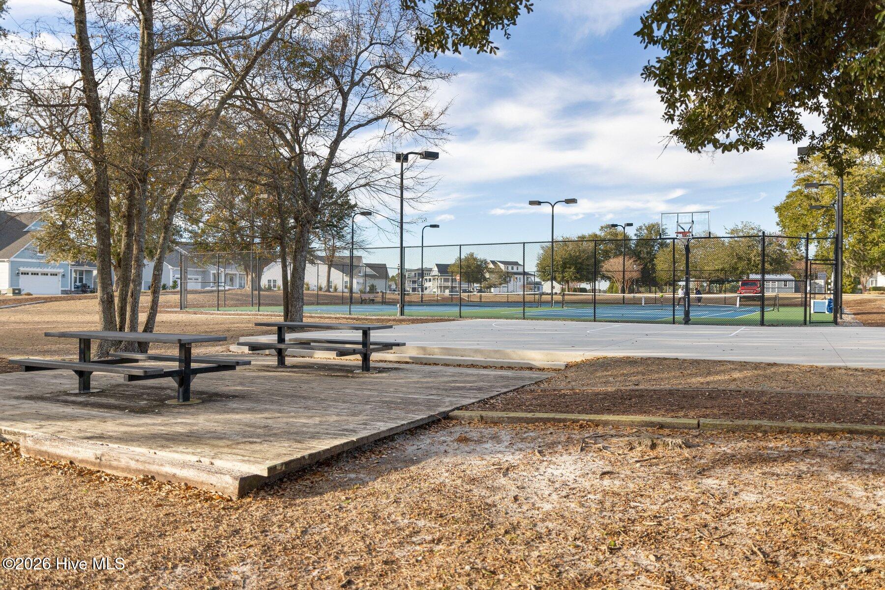 100558879 | Photo 62