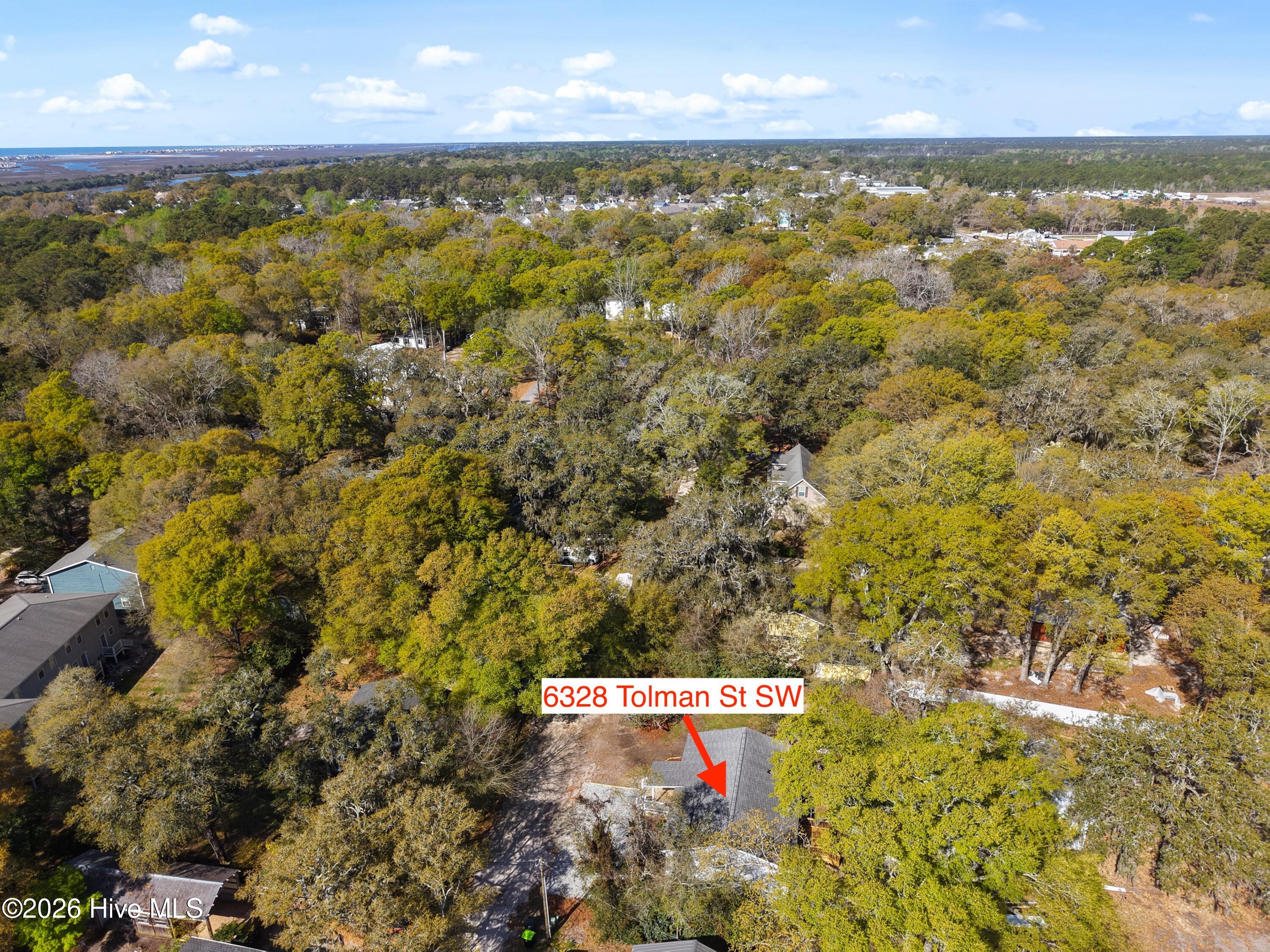 100564131 | Photo 41