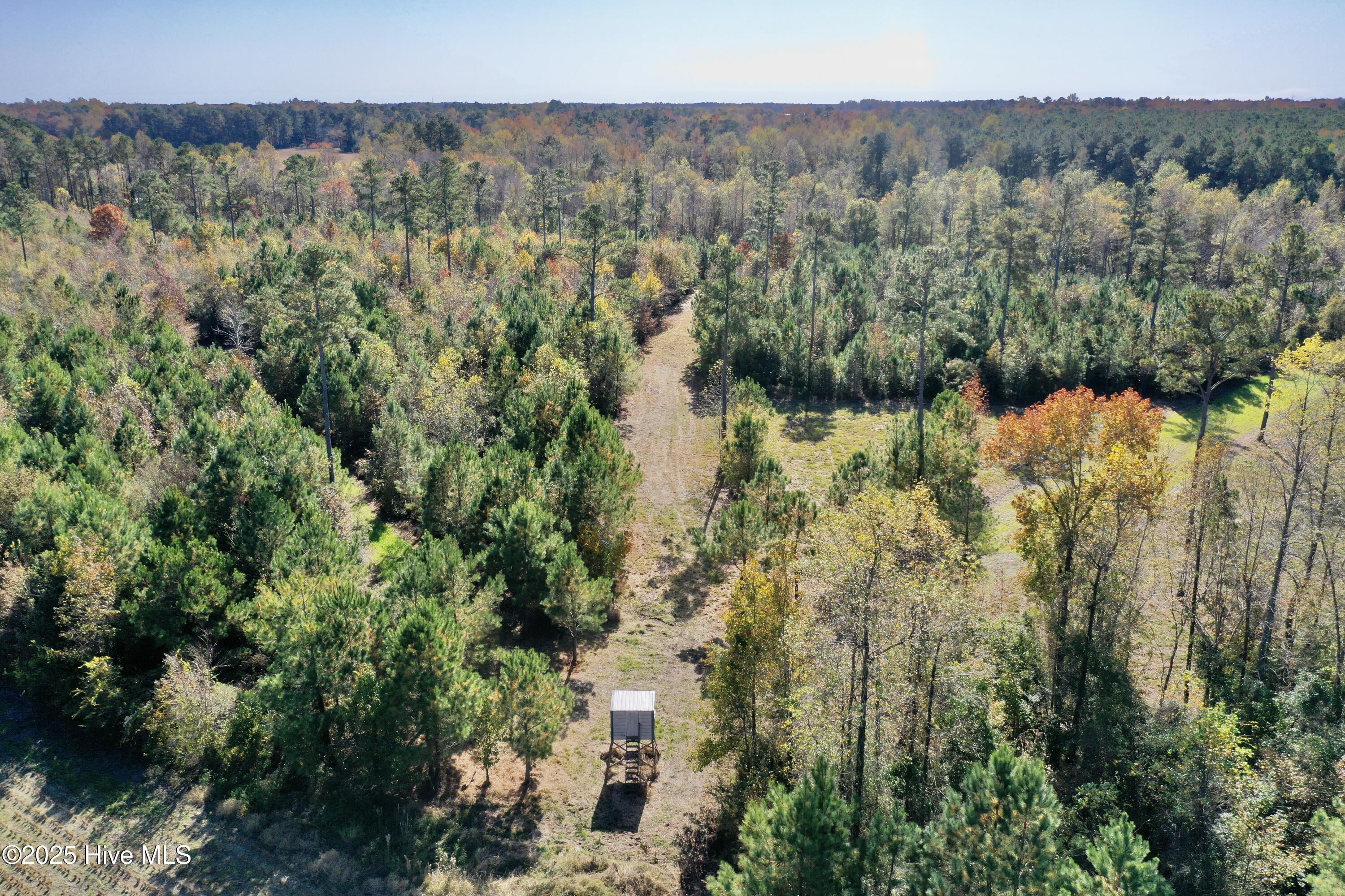 100541845 | Photo 24