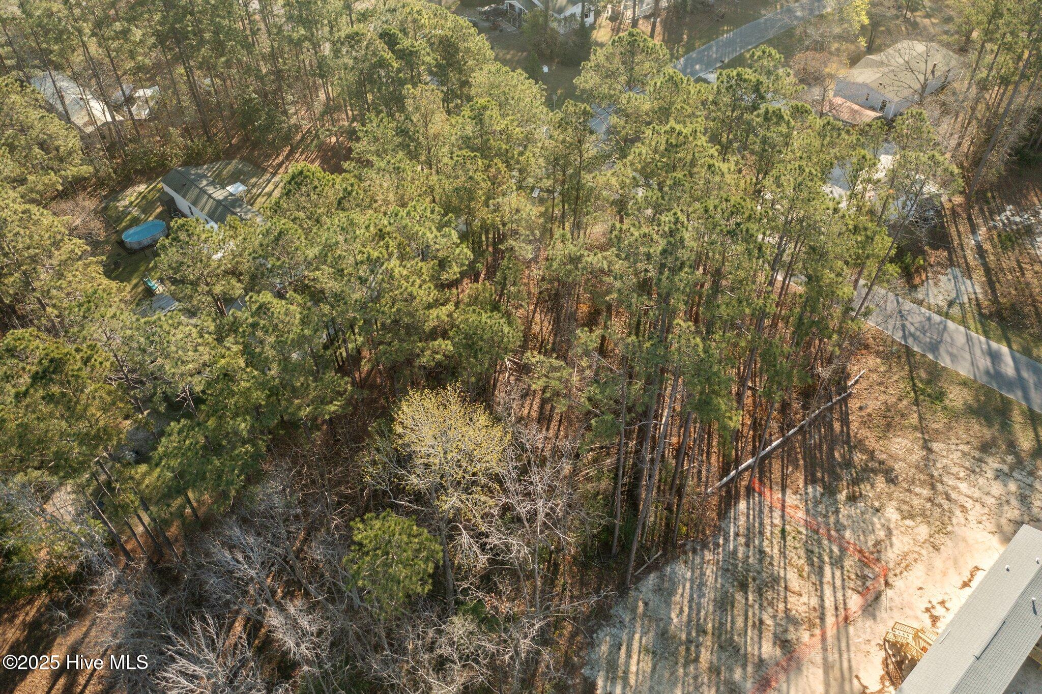 100497609 | Photo 13