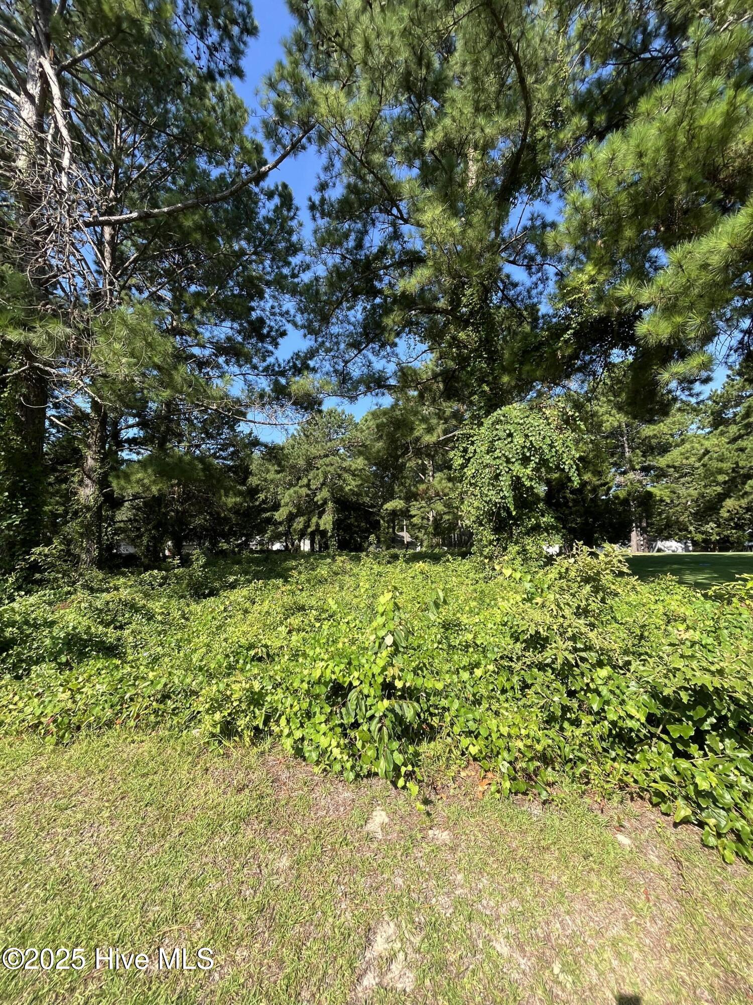 205 Egret Point Drive, Sneads Ferry, NC, 28460