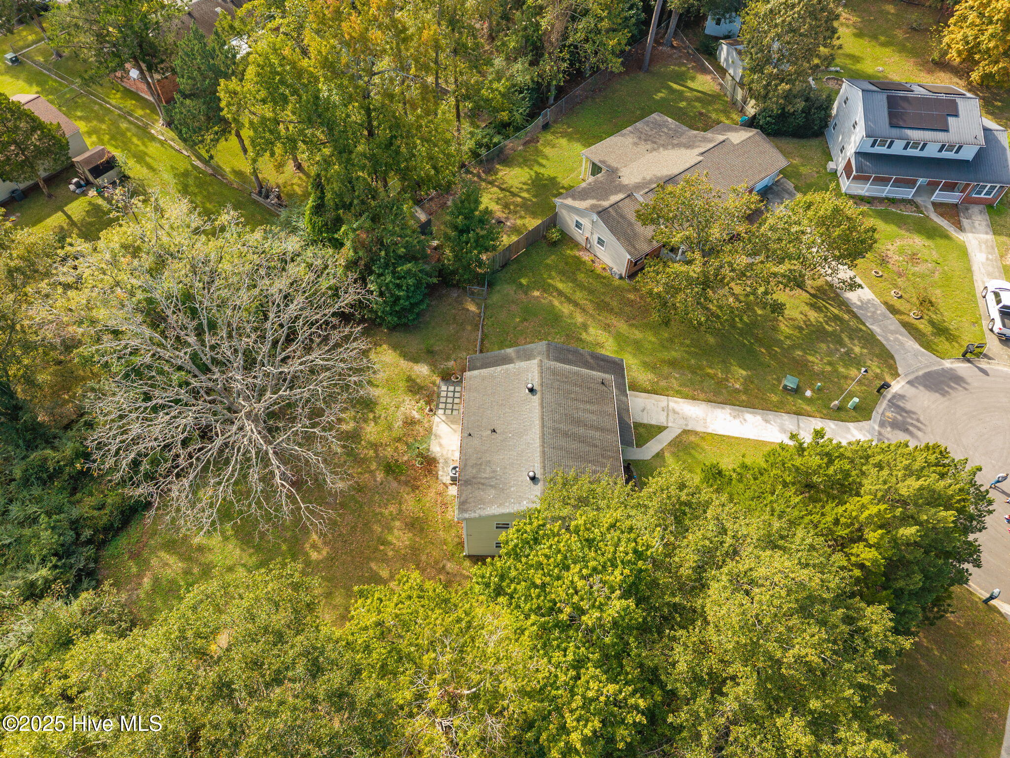 100539019 | Photo 38