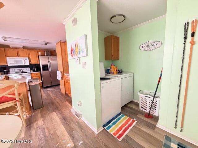 100546387 | Photo 49