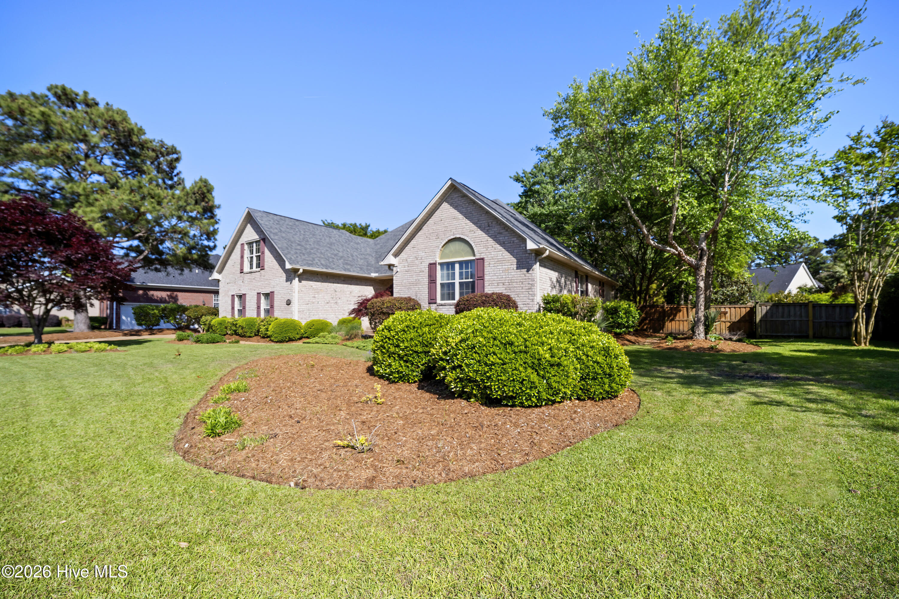 100567457 | Photo 25