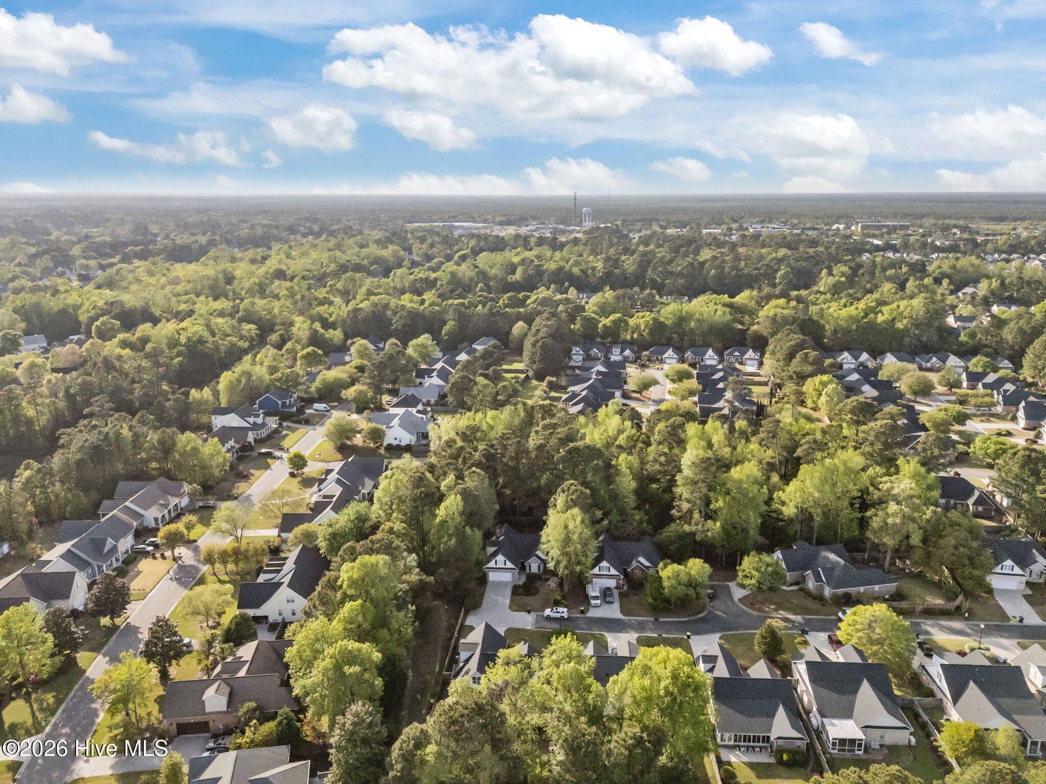 745 Zekes Run, Wilmington, NC 28411 – photo 10: 10-web-or-mls-DJI_20260408174433_0463_D