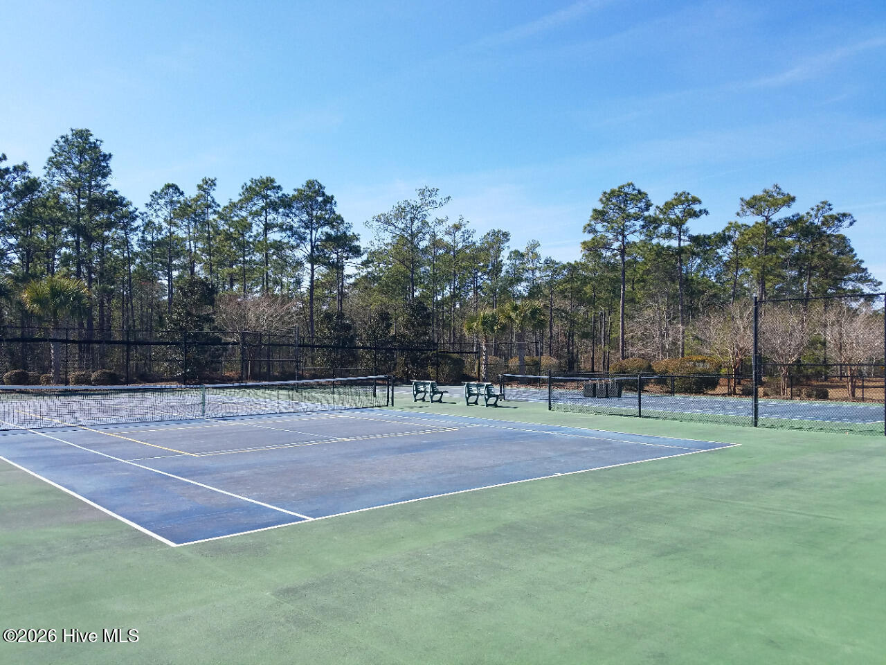 100547774 | Photo 21