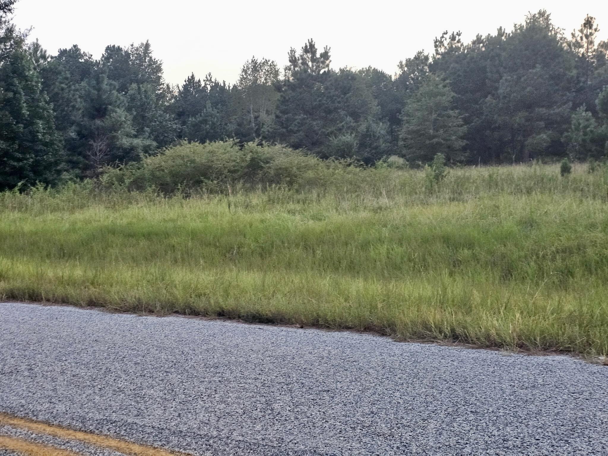 Homes for sale in Waynesboro, GA | 300 Home Tract Rd, Waynesboro, GA 30830 | MLS# 549263