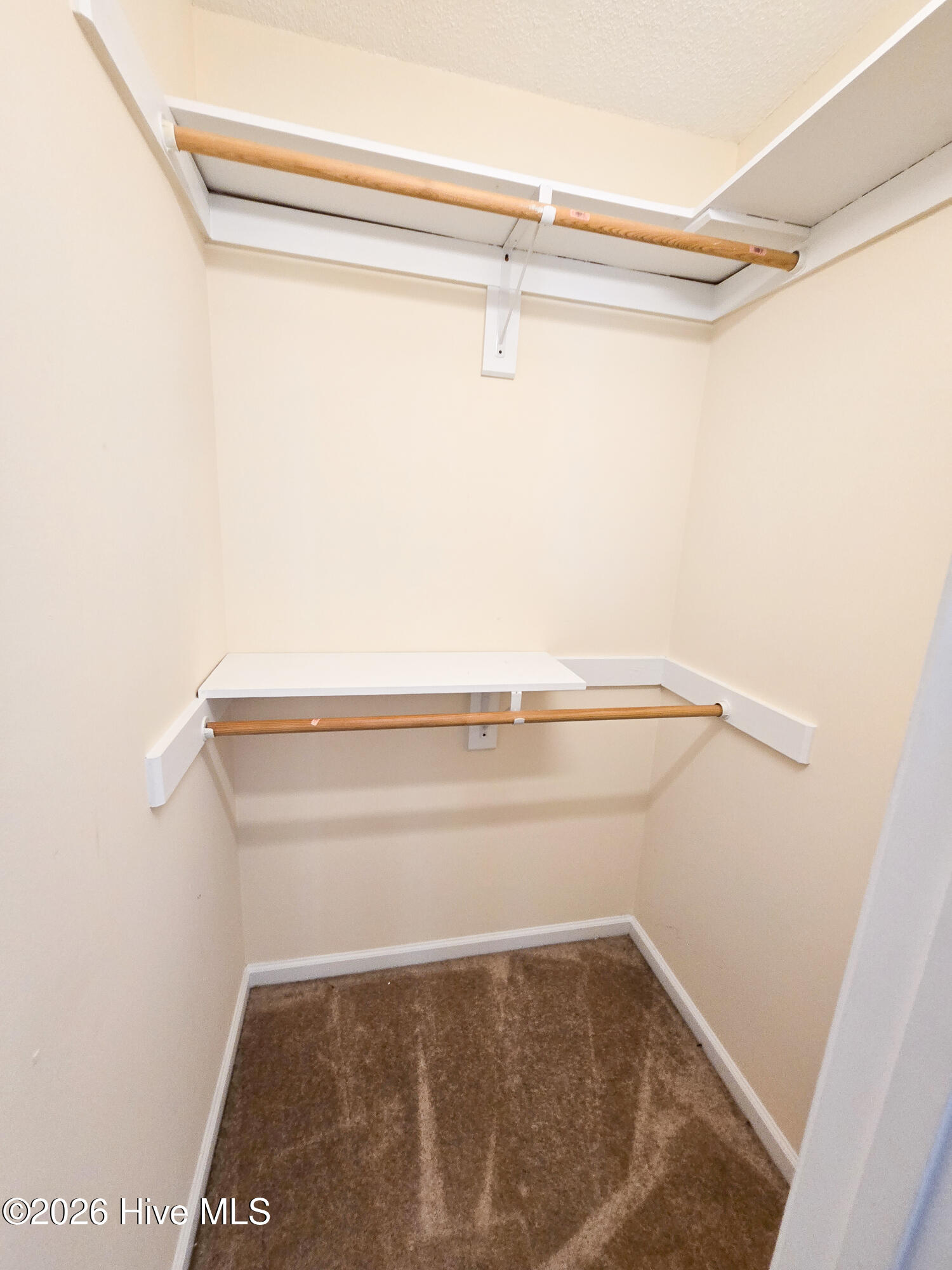 100560763 | Photo 13