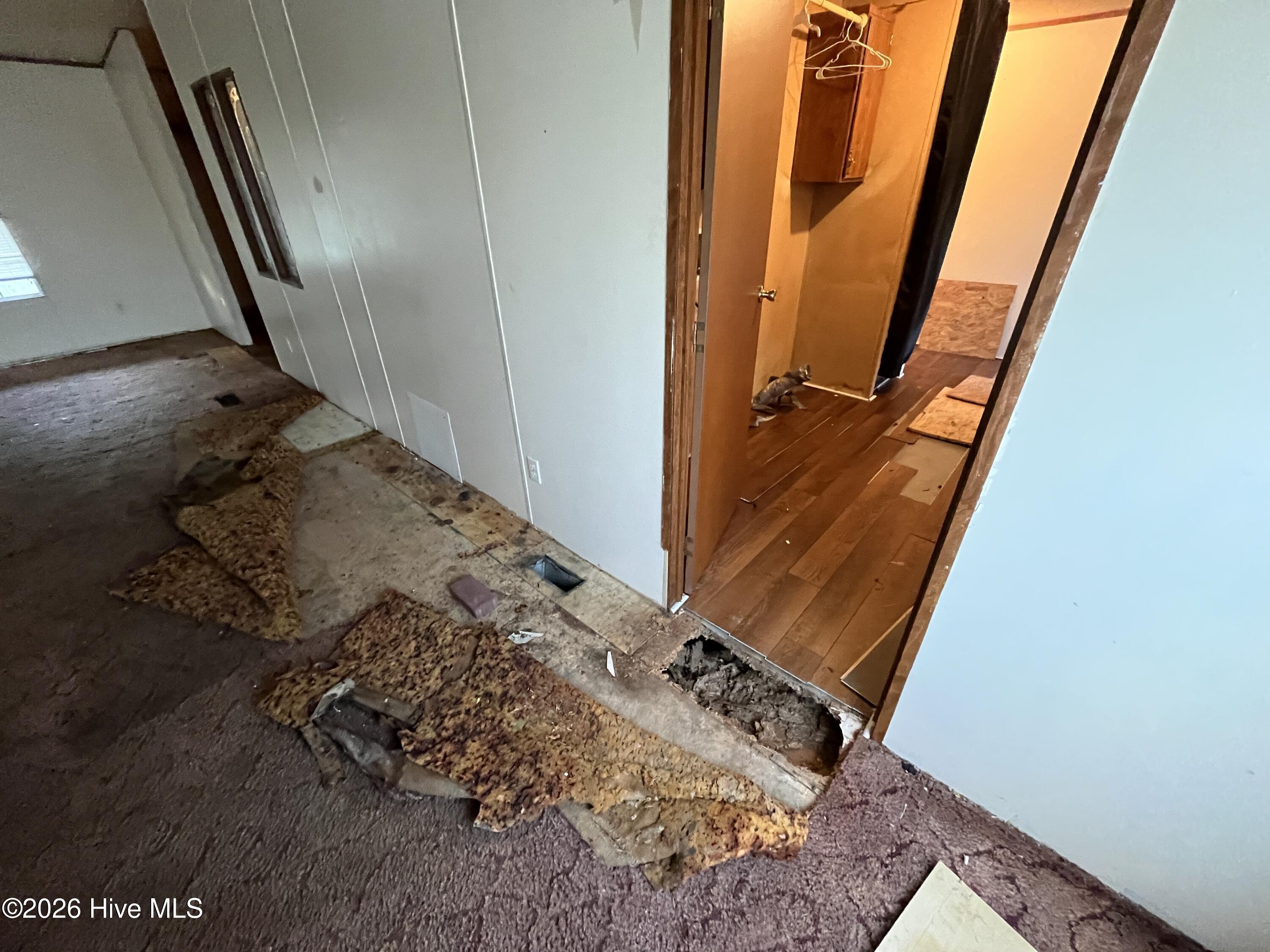 100568963 | Photo 30