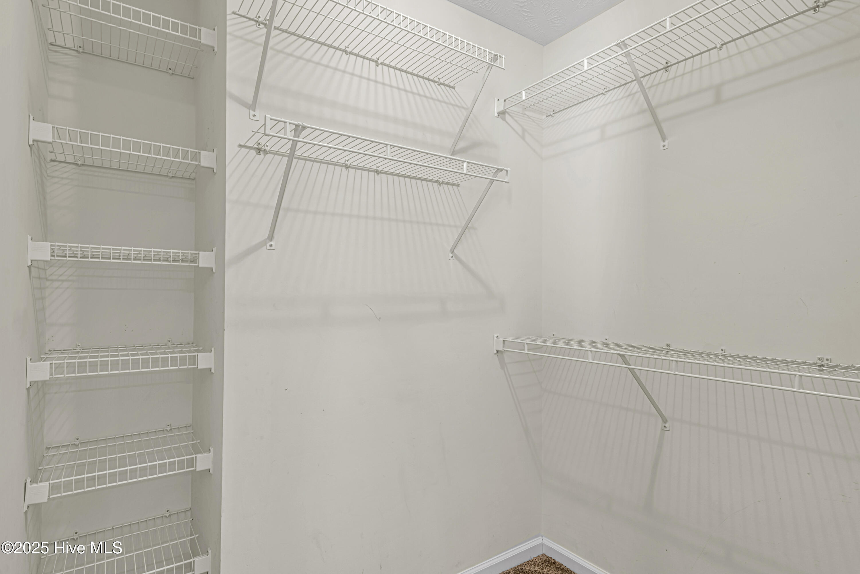 100543275 | Photo 38