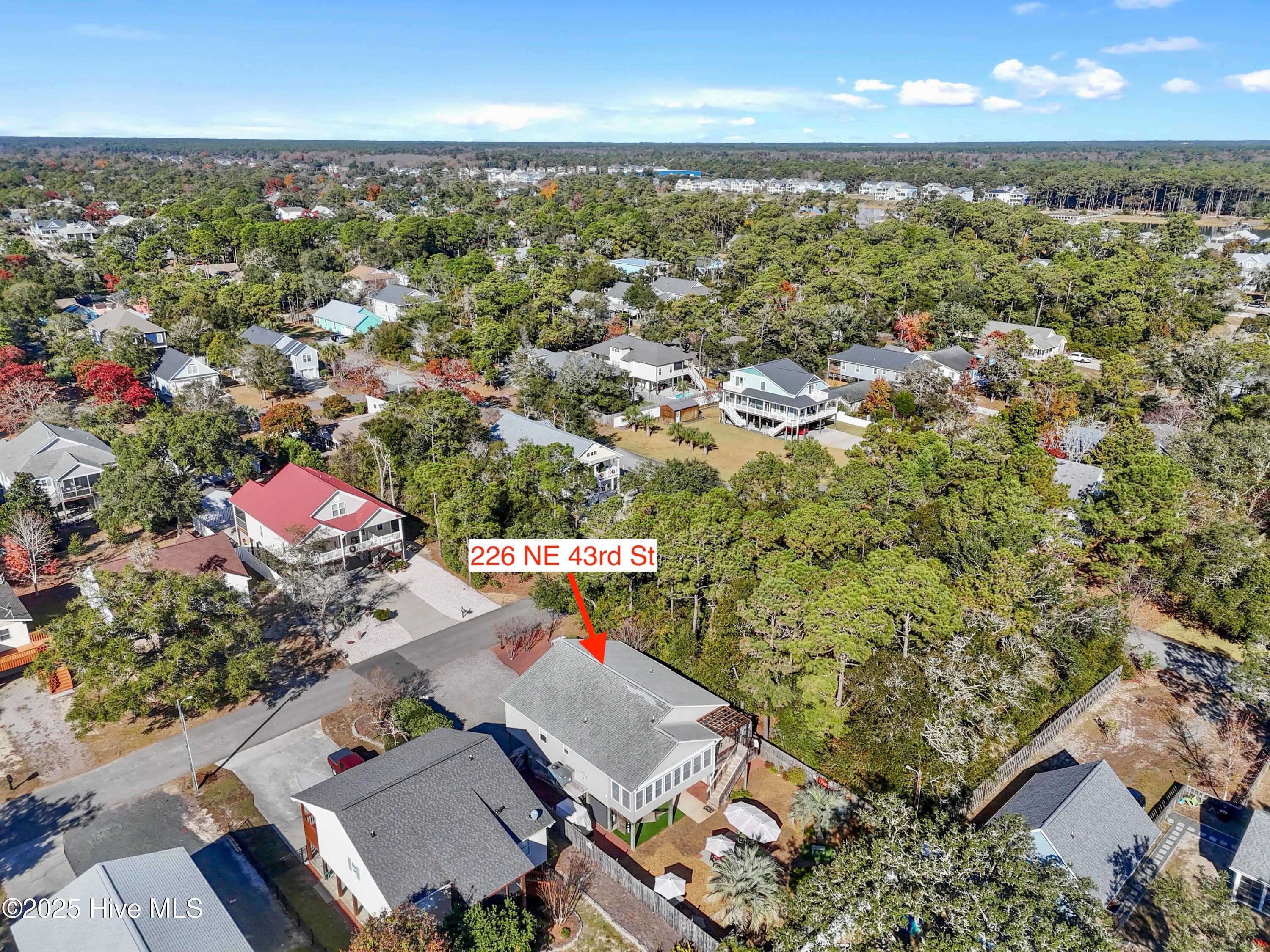 100542990 | Photo 67