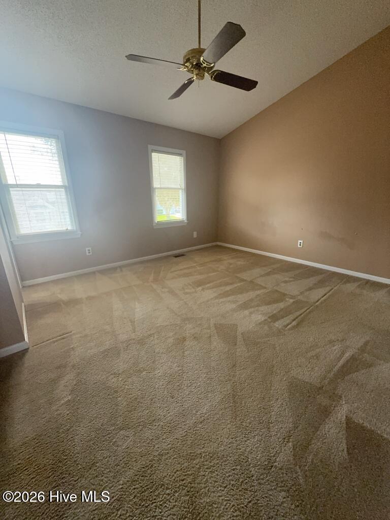 100558687 | Photo 11