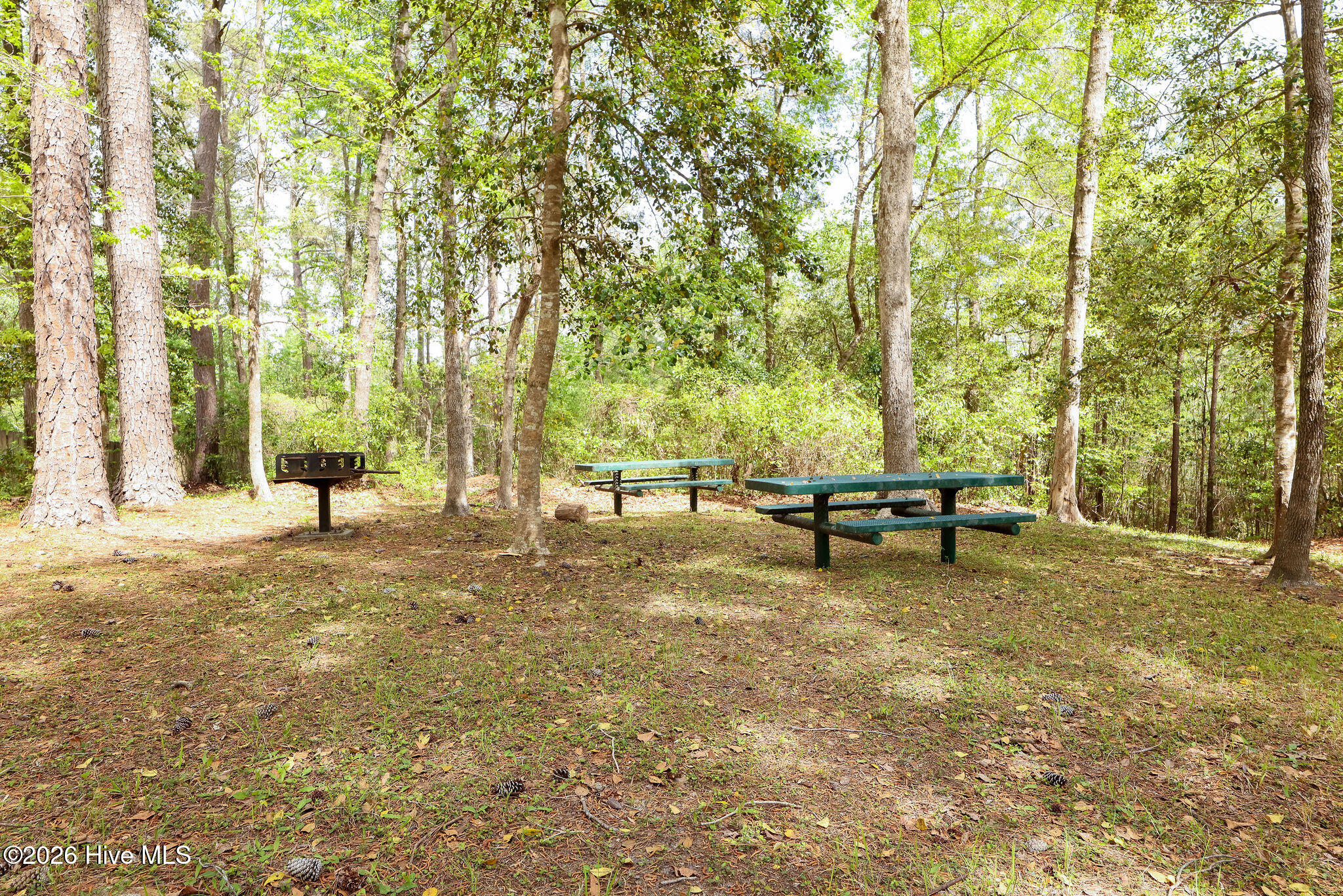 100565311 | Photo 57