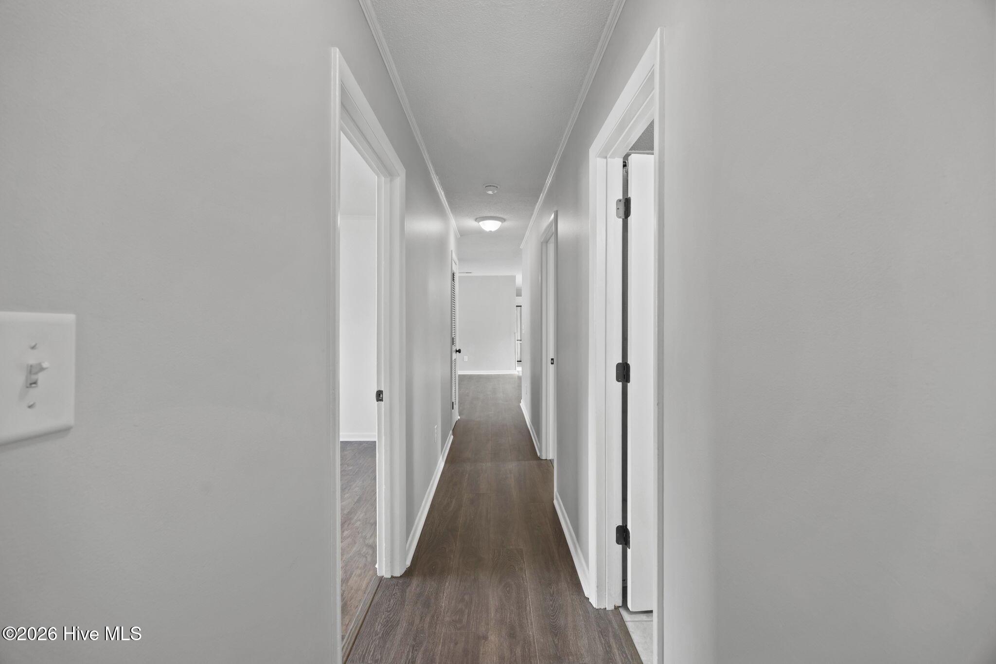 100559433 | Photo 18