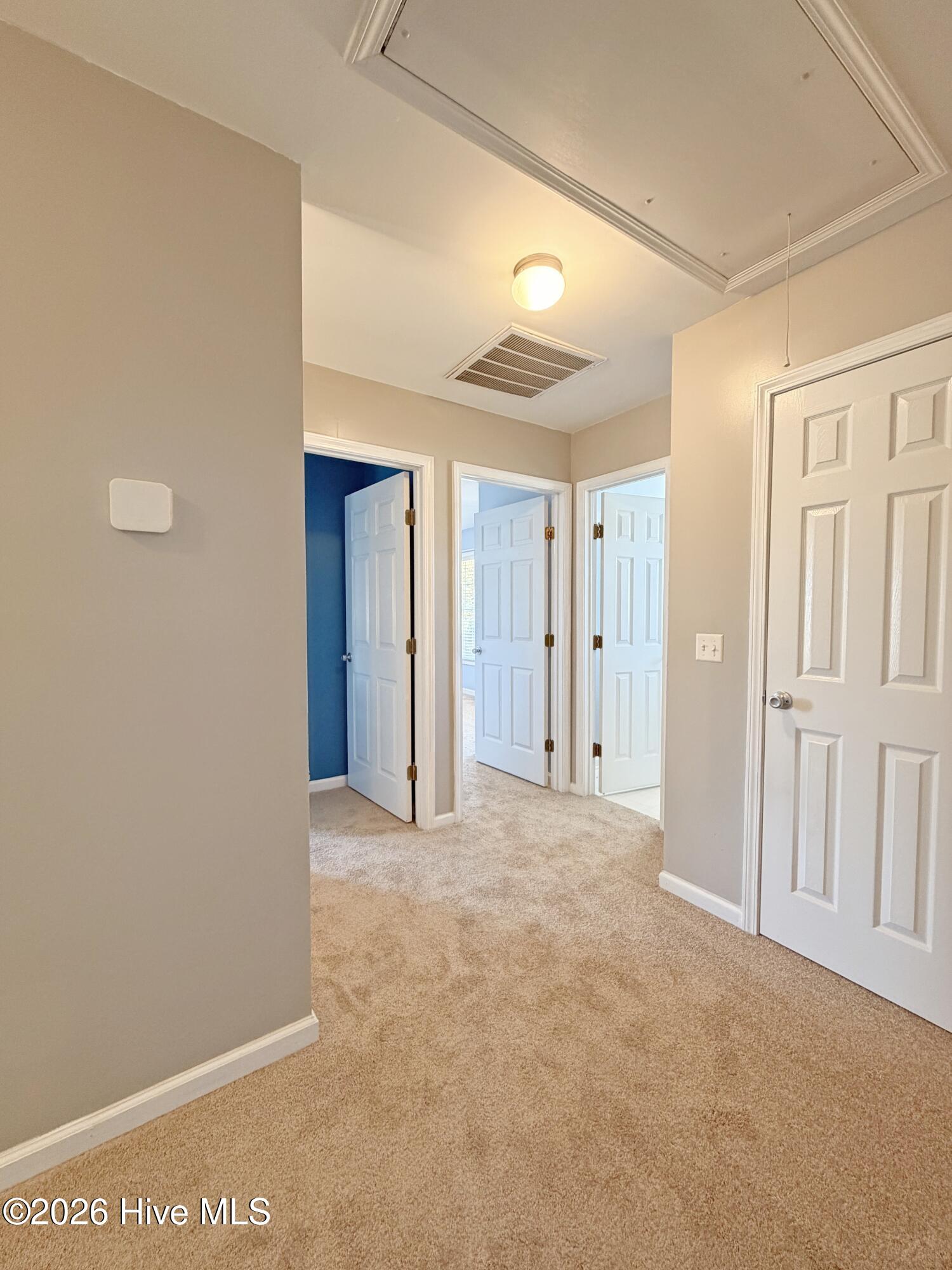 100547389 | Photo 29