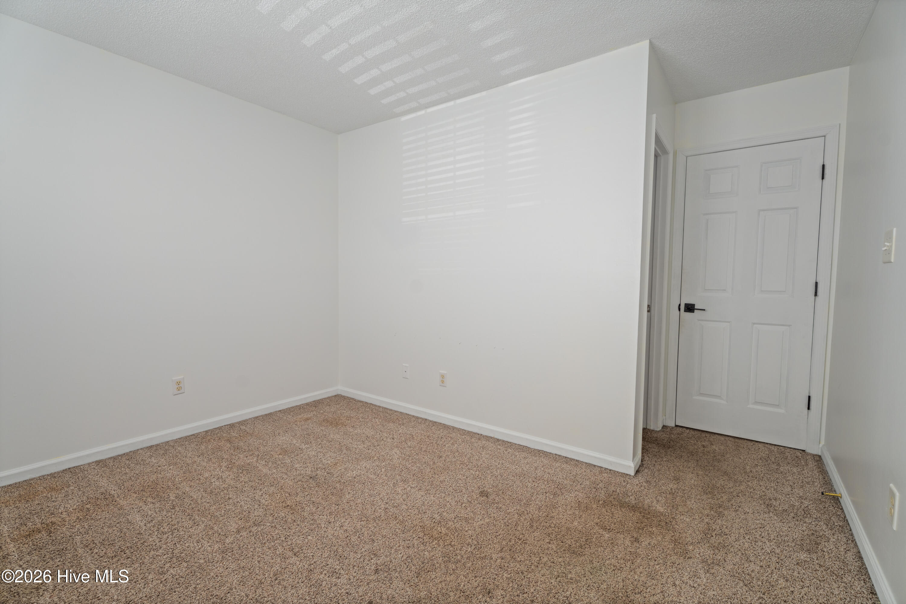 100552668 | Photo 13