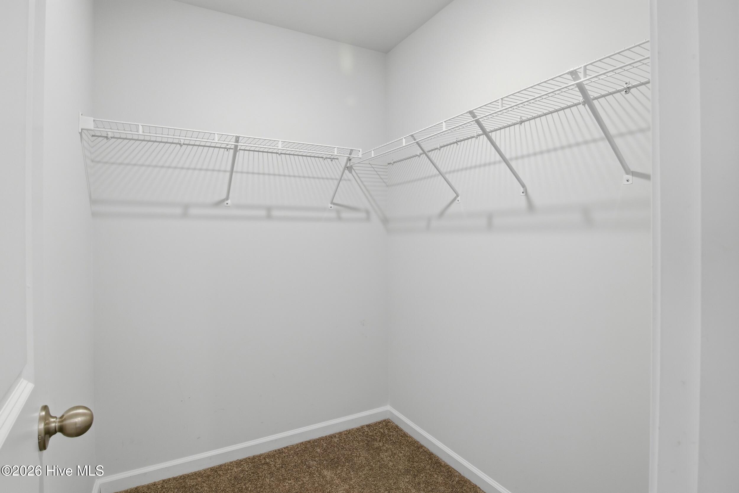 100551799 | Photo 19