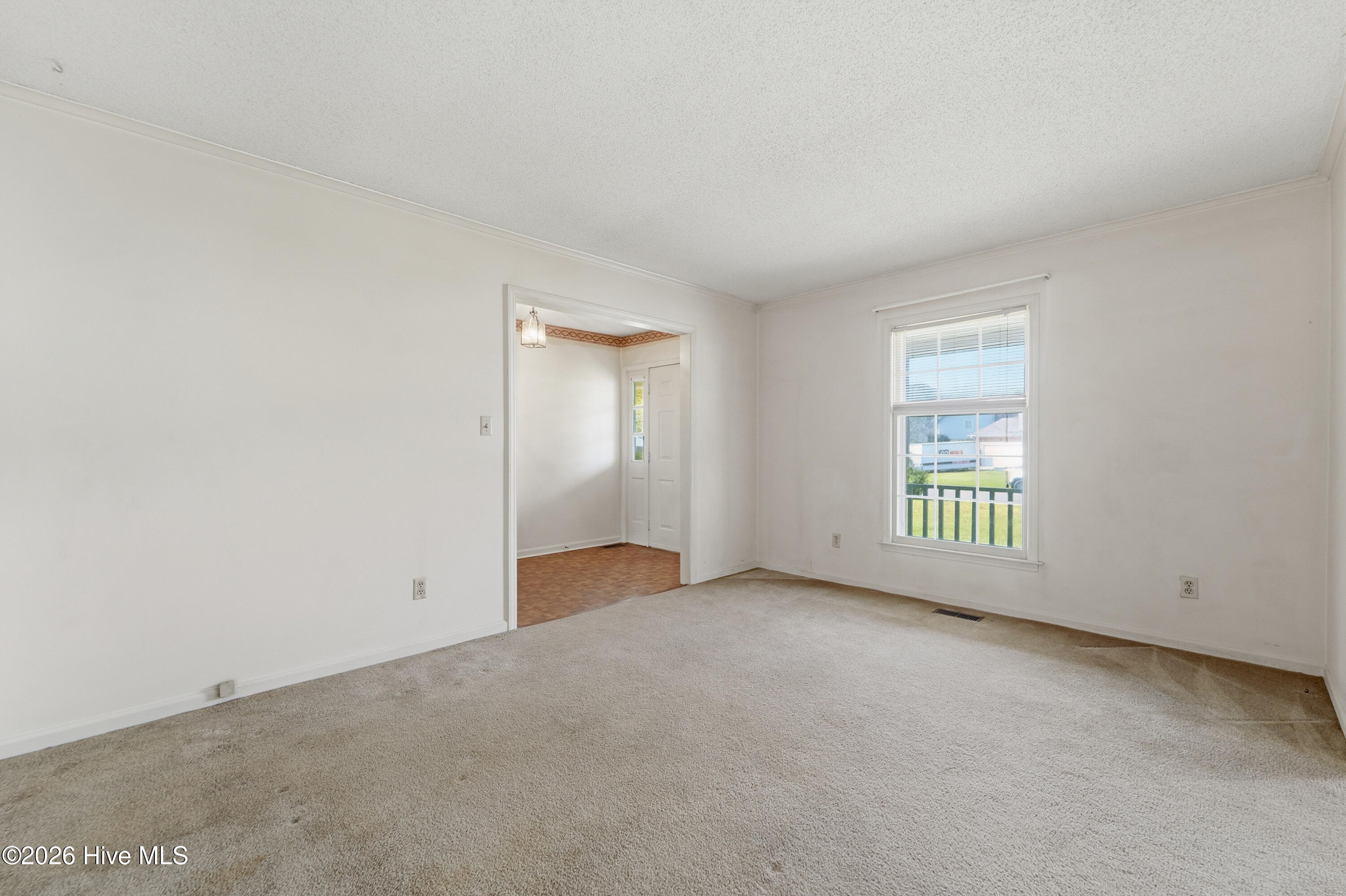 100563491 | Photo 11