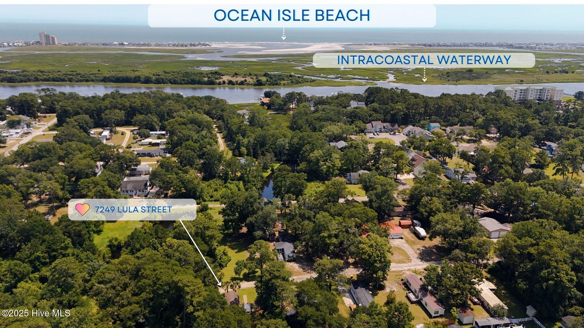 100517636 | Photo 48